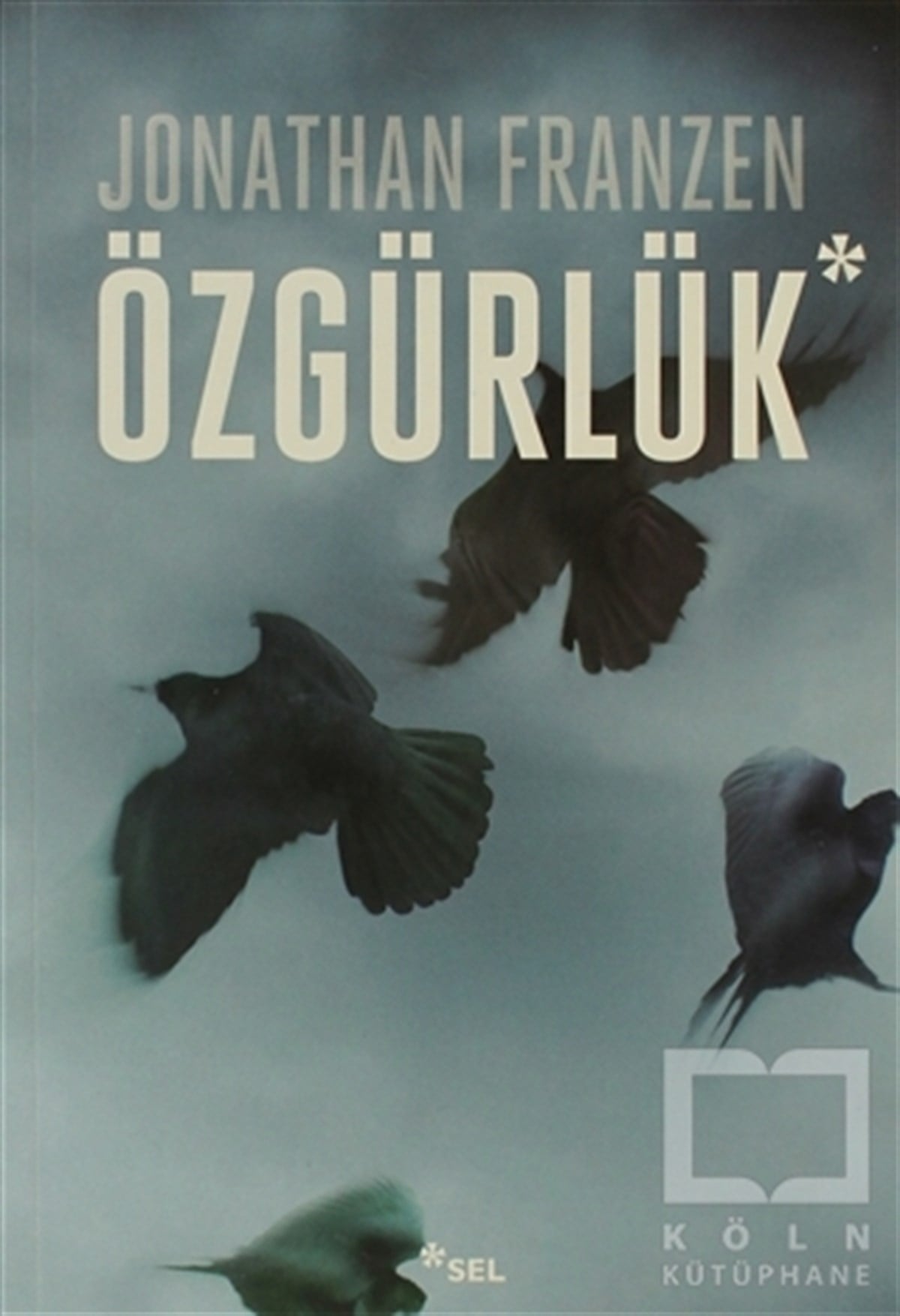 Jonathan FranzenRomanÖzgürlük