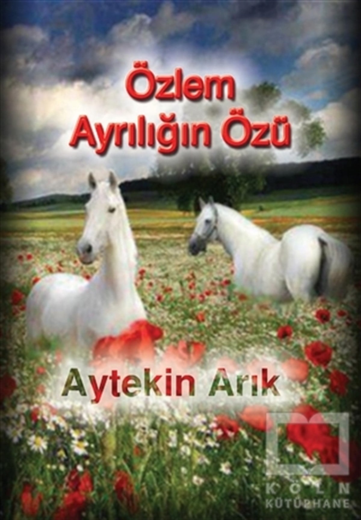 Aytekin ArıkŞiirÖzlem Ayrılığın Özü