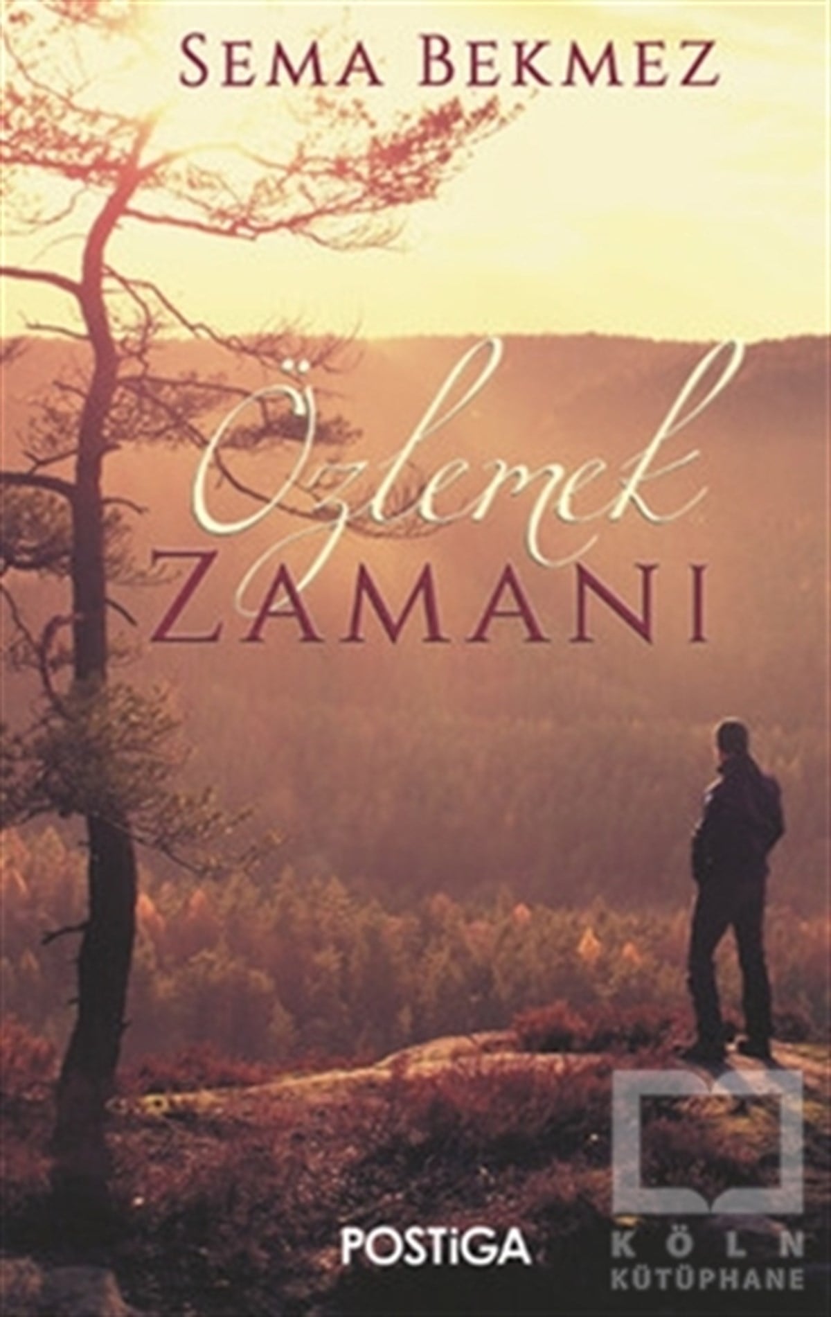 Sema BekmezRomanÖzlemek Zamanı