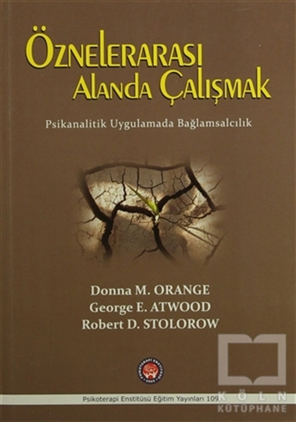 Donna M. OrangeDiğerÖznelerarası Alanda Çalışmak