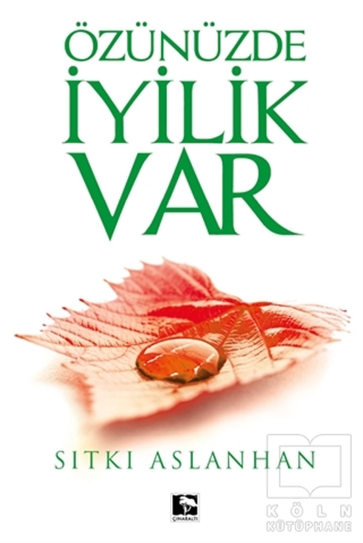 Sıtkı AslanhanKişisel GelişimÖzünüzde İyilik Var