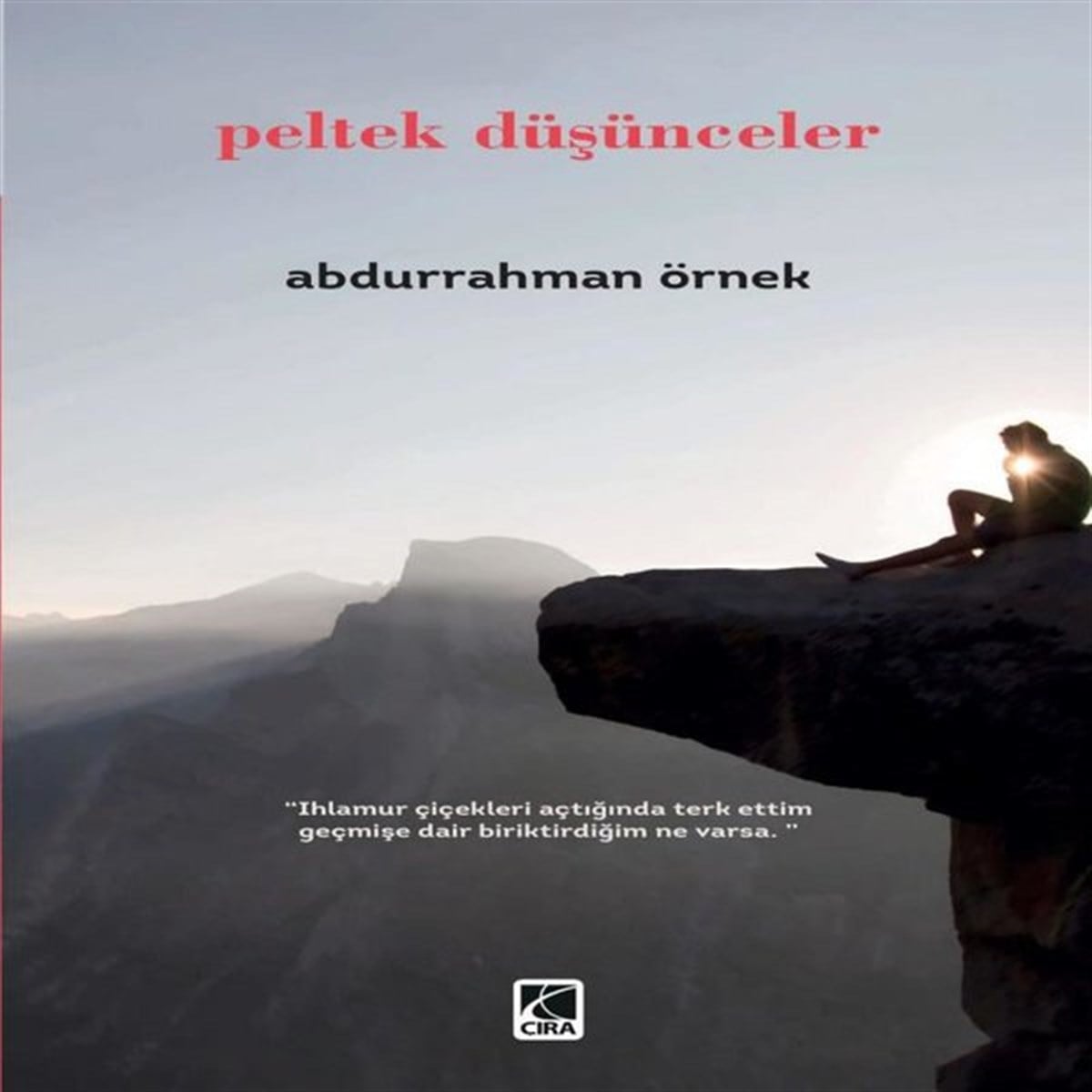 Abdurrahman ÖrnekTürkiye RomanPeltek Düşünceler