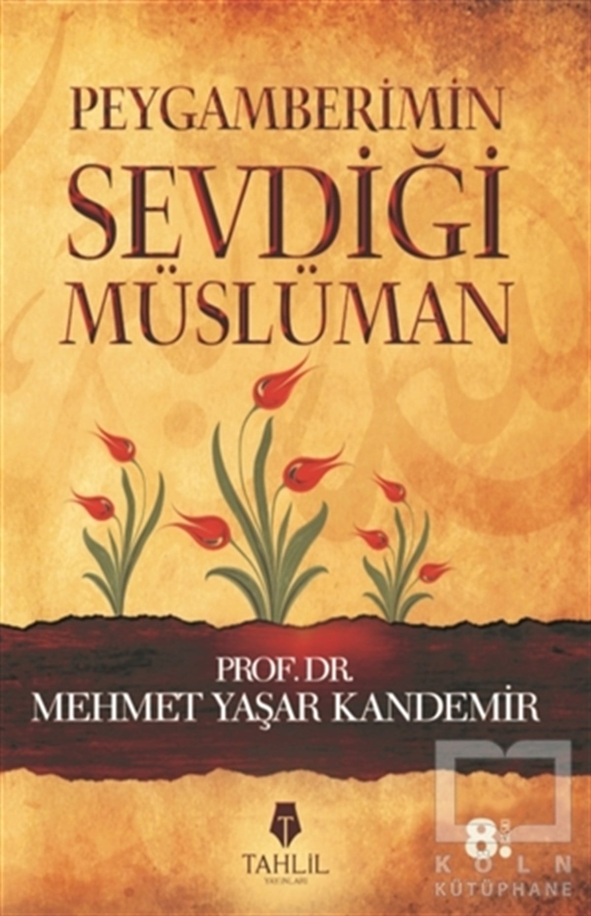 Mehmet Yaşar Kandemirİslam Eğitimi KitaplarıPeygamberimin Sevdiği Müslüman
