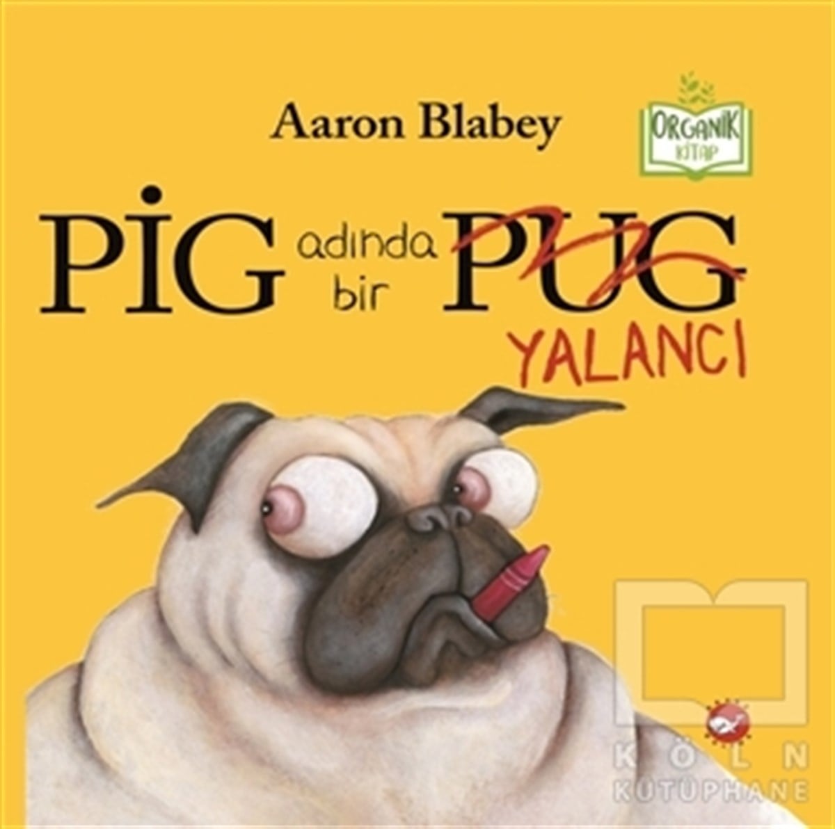 Aaron BlabeyÇocuk Hikaye KitaplarıPig Adında Bir Yalancı