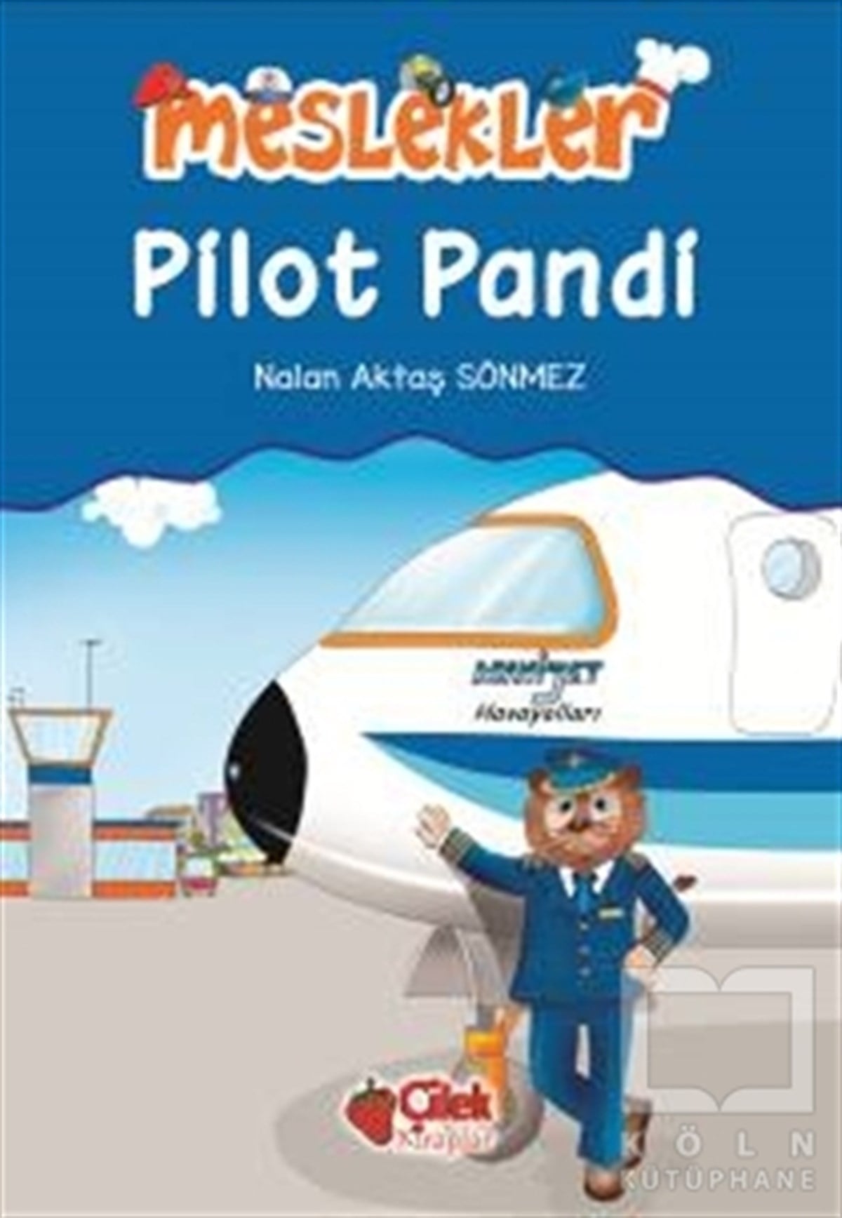 Nalan Aktaş SönmezHikayelerPilot Pandi
