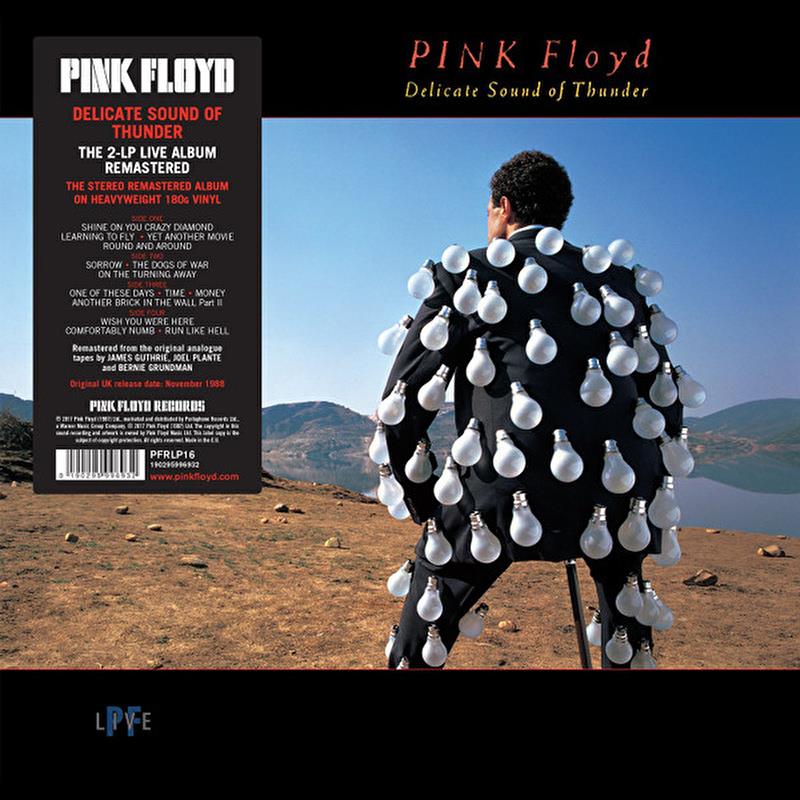 pink-floyd-delicate-sound-of-thunder-2-4a-29d.jpg