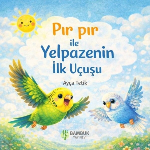 Ayça TetikEgitim Etkinlik KitaplariPır Pır İle Yelpazenin İlk Uçuşu