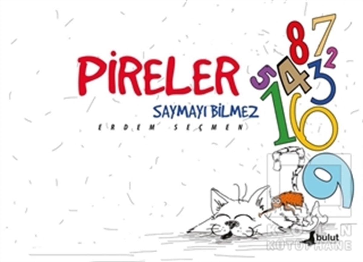 Erdem SeçmenÇocuk RomanlarıPireler Saymayı Bilmez