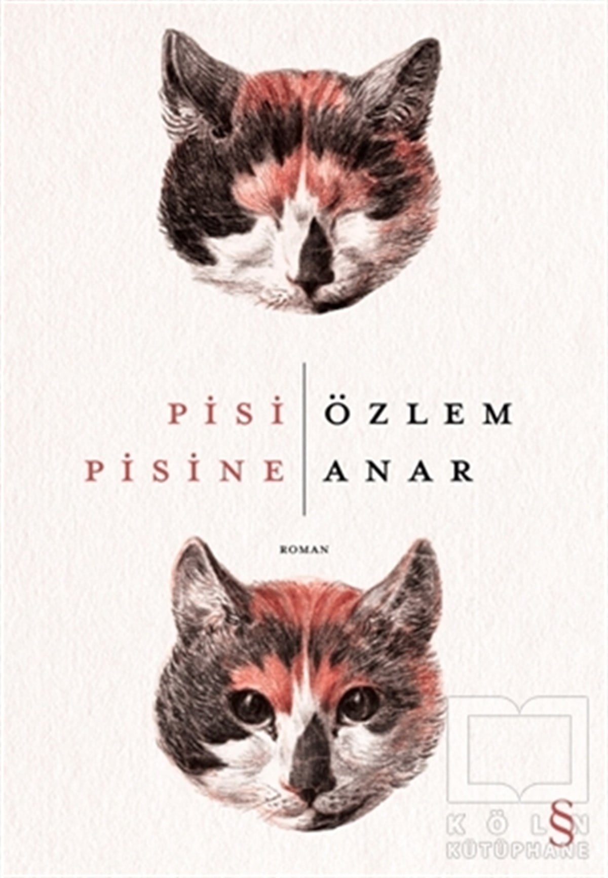 Özlem AnarTürkçe RomanlarPisi Pisine