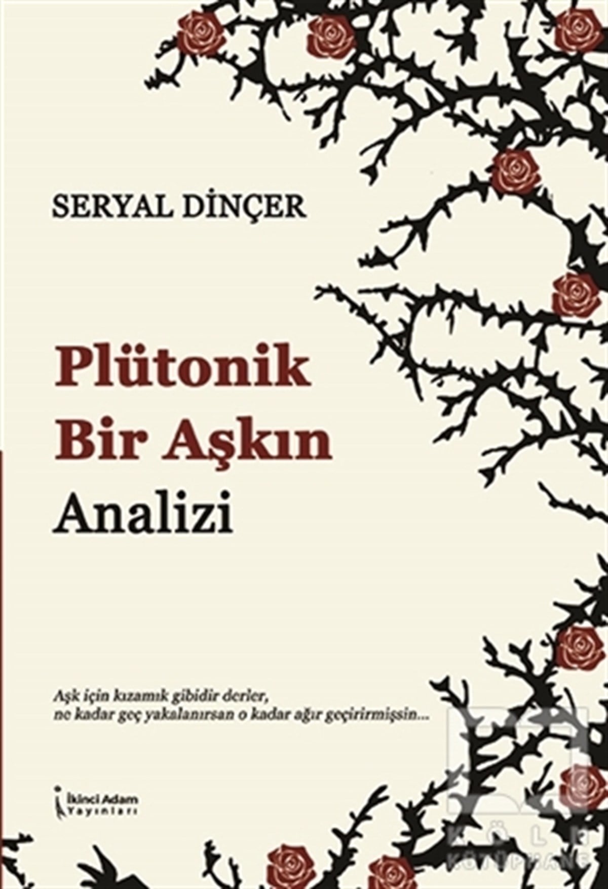 Seryal DinçerKişisel Gelişim KitaplarıPlütonik Bir Aşkın Analizi