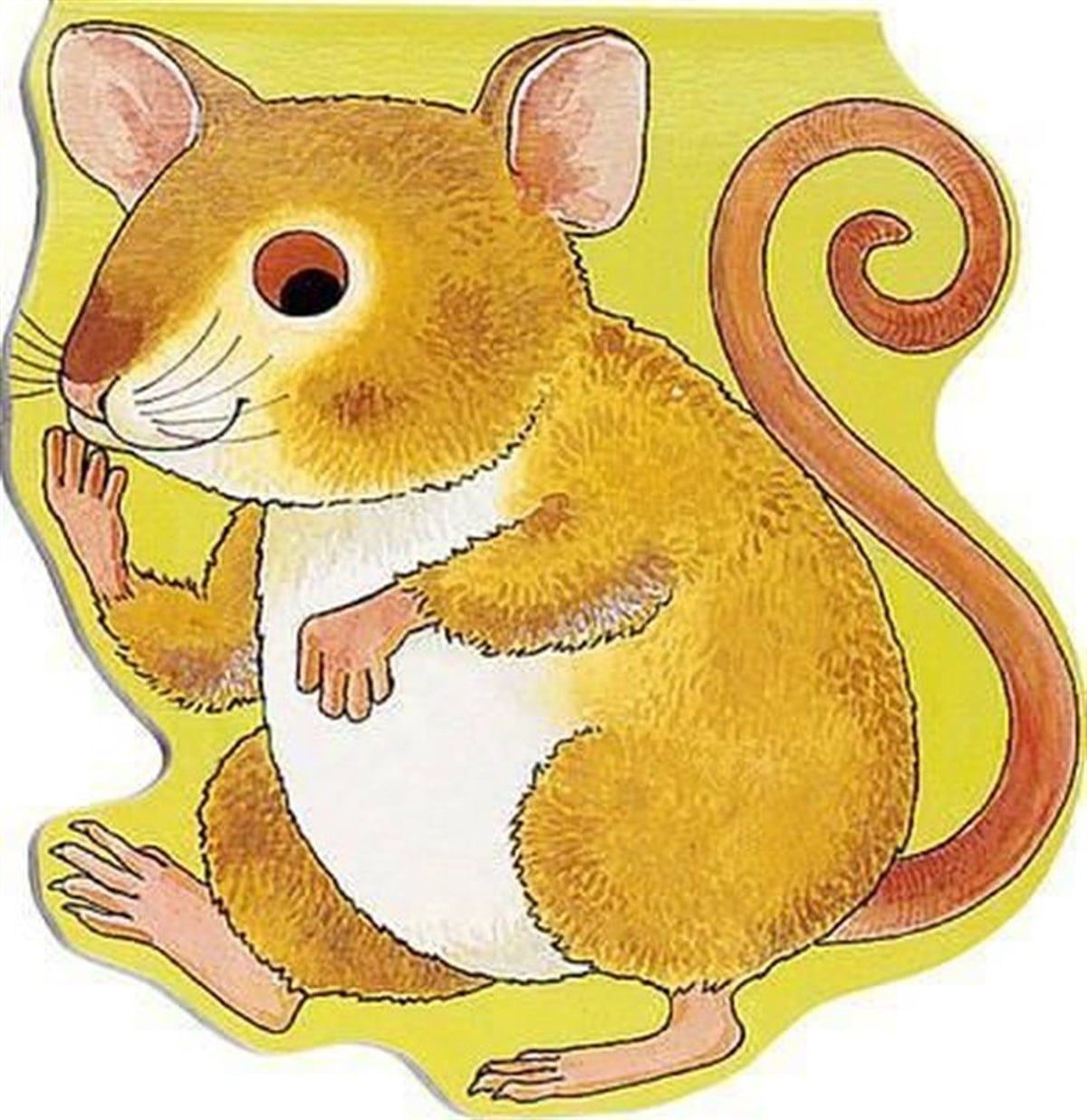 Julie ZhuPreschoolPocket Mouse