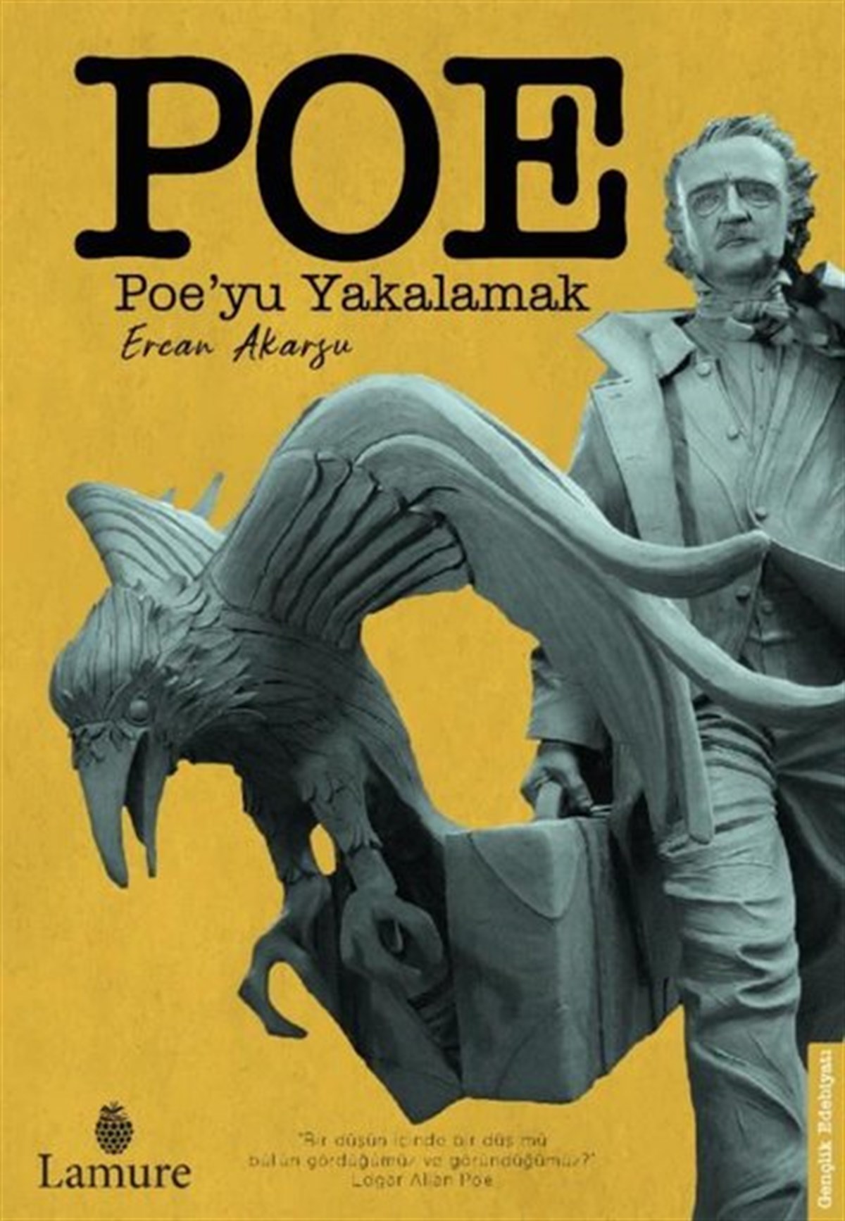 Ercan AkarsuTürkiye RomanPoe'yu Yakalamak