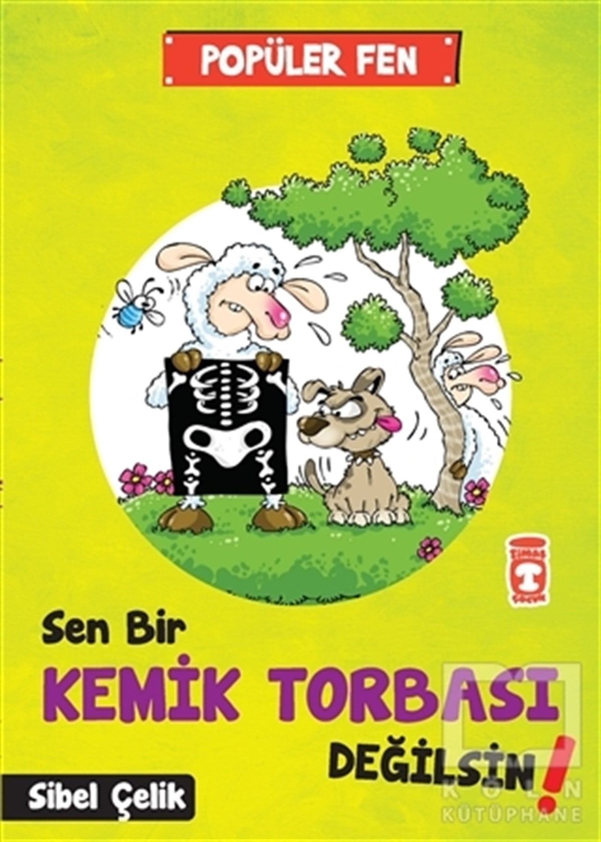 Sibel ÇelikBilimsel KitaplarPopüler Fen - Sen Bir Kemik Torbası Değilsin!