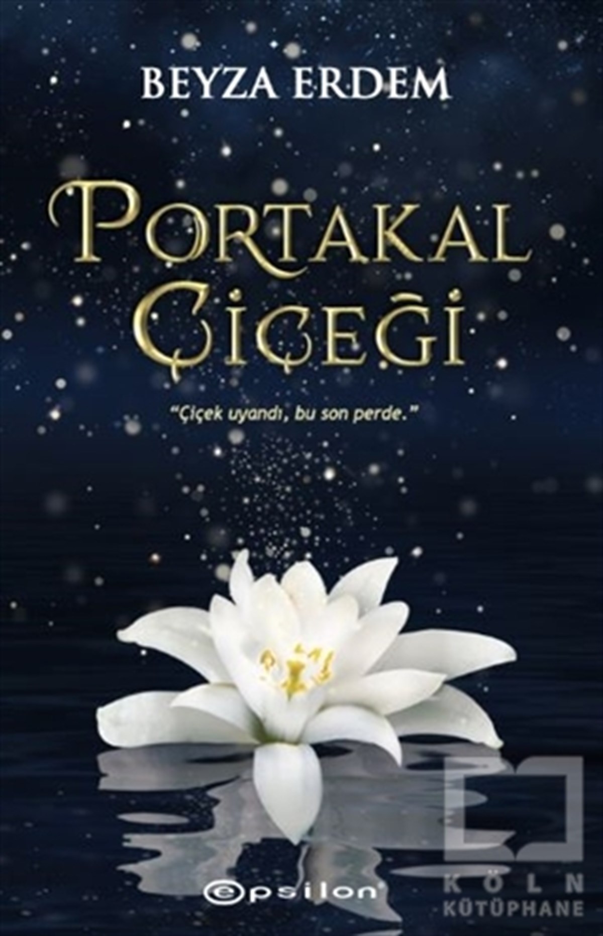 Beyza ErdemTürkçe RomanlarPortakal Çiçeği