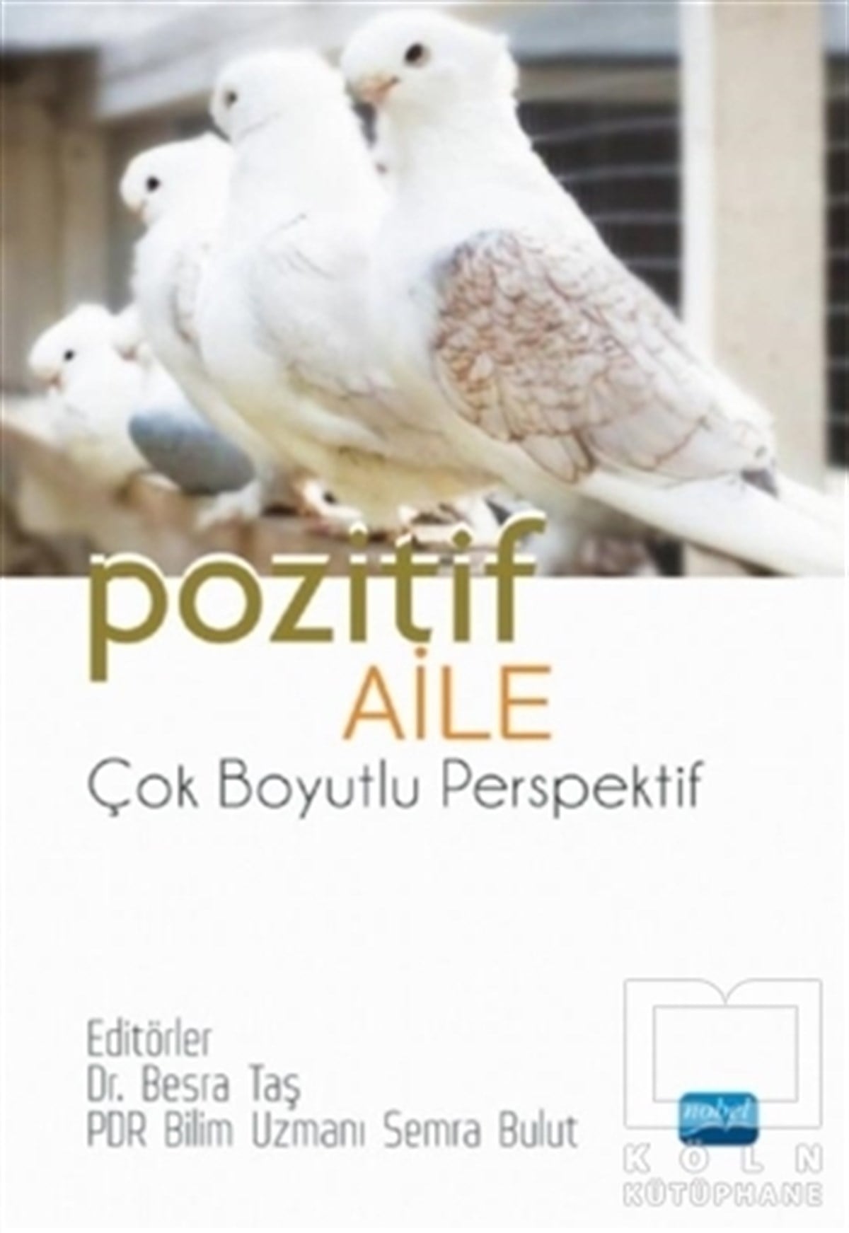 Besra TaşAile ve Çocuk KitaplarıPozitif Aile - Çok Boyutlu Perspektif