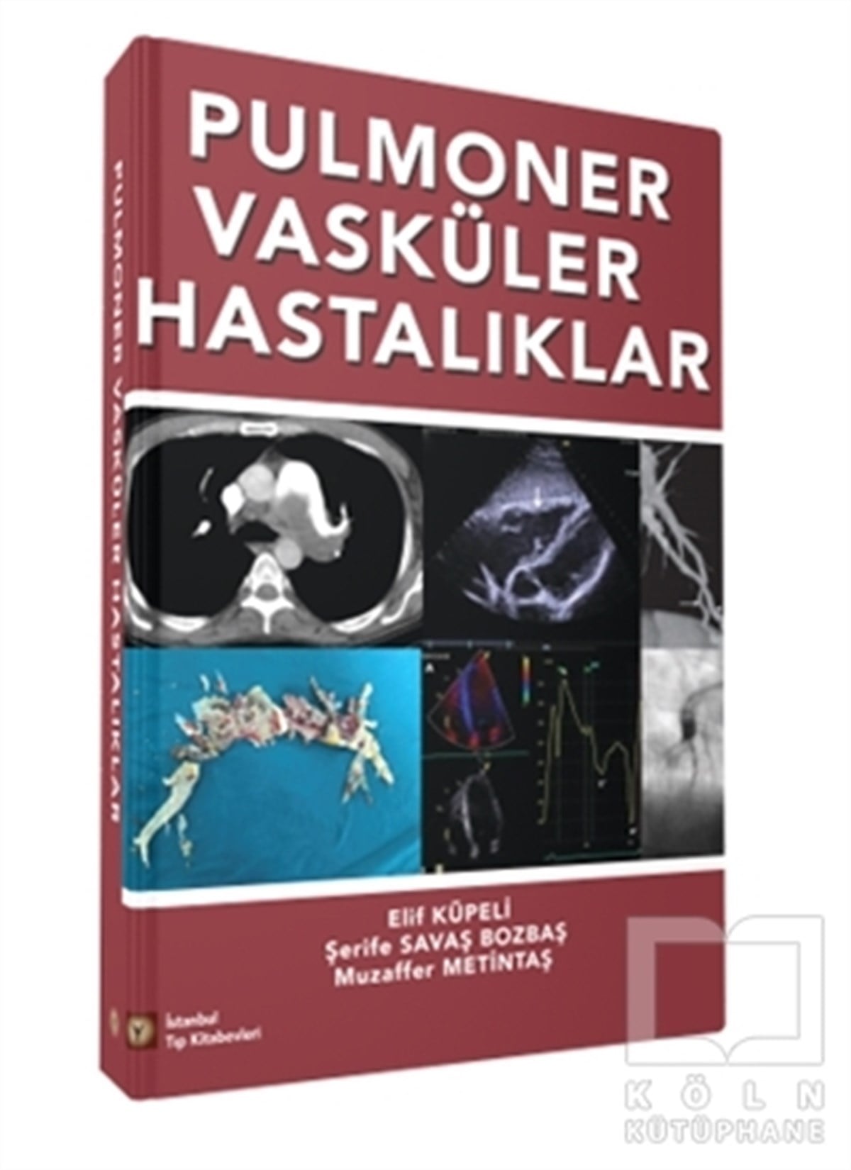 Şerife Savaş BozbaşTıp Bilimleri KitaplarıPulmoner Vasküler Hastalıklar