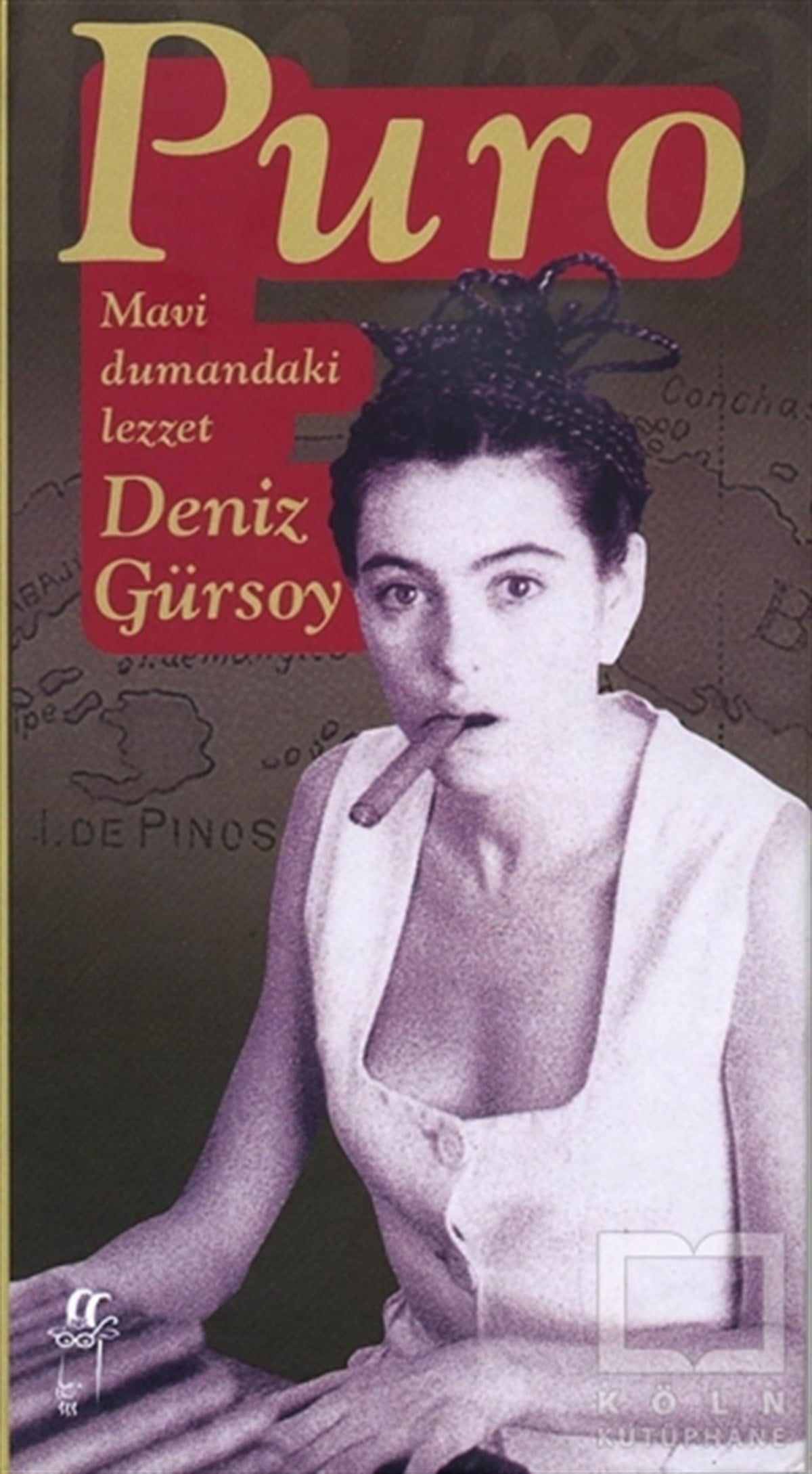 Deniz GürsoyYemek KitaplarıPuro