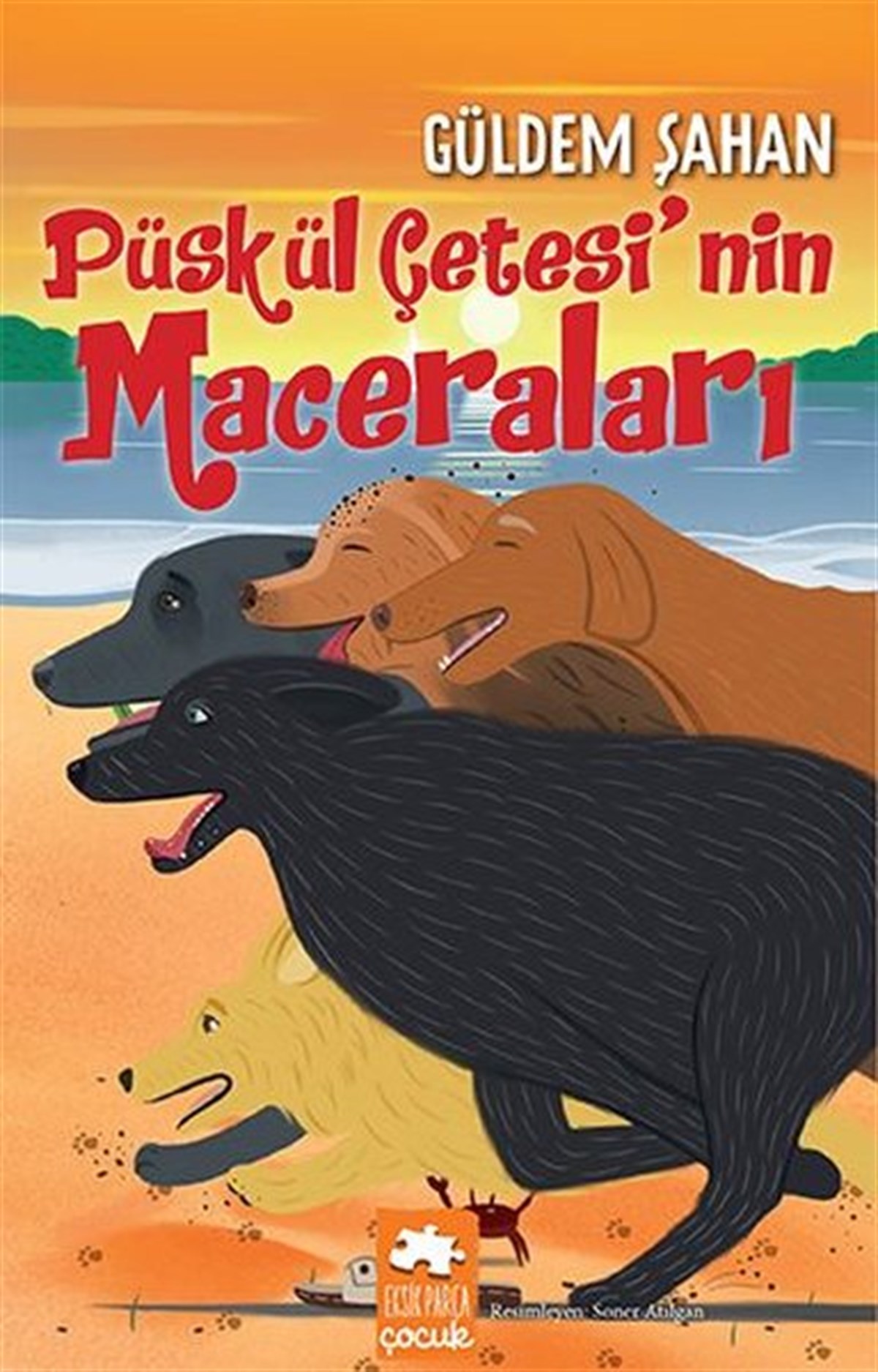 Güldem ŞahanÇocuk Masal KitaplarıPüskül Çetesi'nin Maceraları