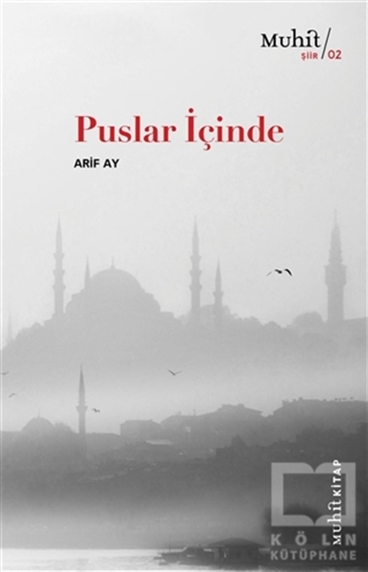 Arif AyTürkçe Şiir KitaplarıPuslar İçinde