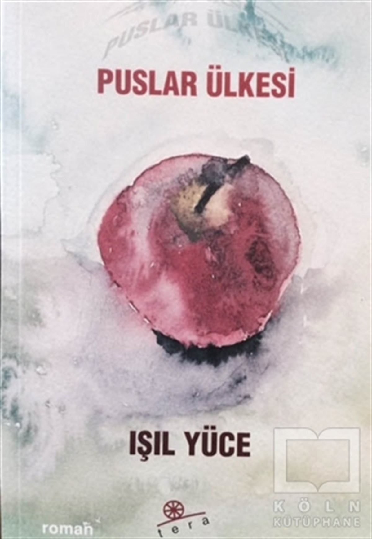 Işıl YüceRomanPuslar Ülkesi