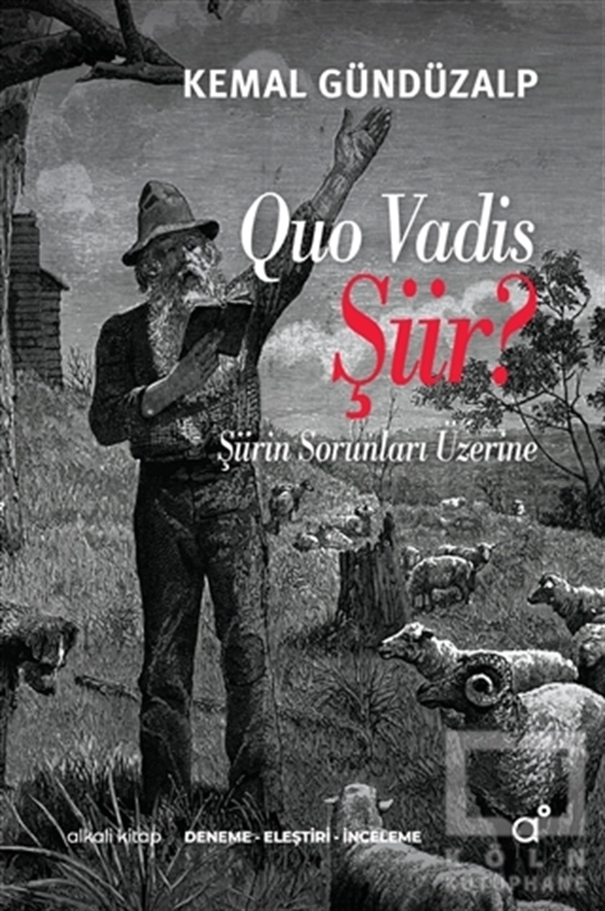 Kemal GündüzalpEleştiri & Kuram & İnceleme KitaplarıQuo Vadis Şiir?