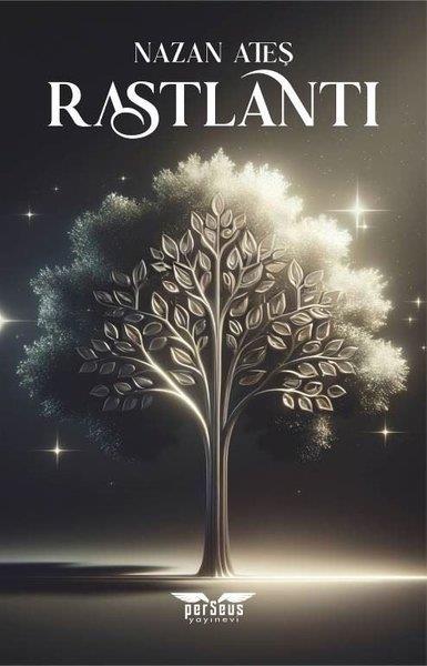 Nazan AteşTürkiye RomanRastlantı