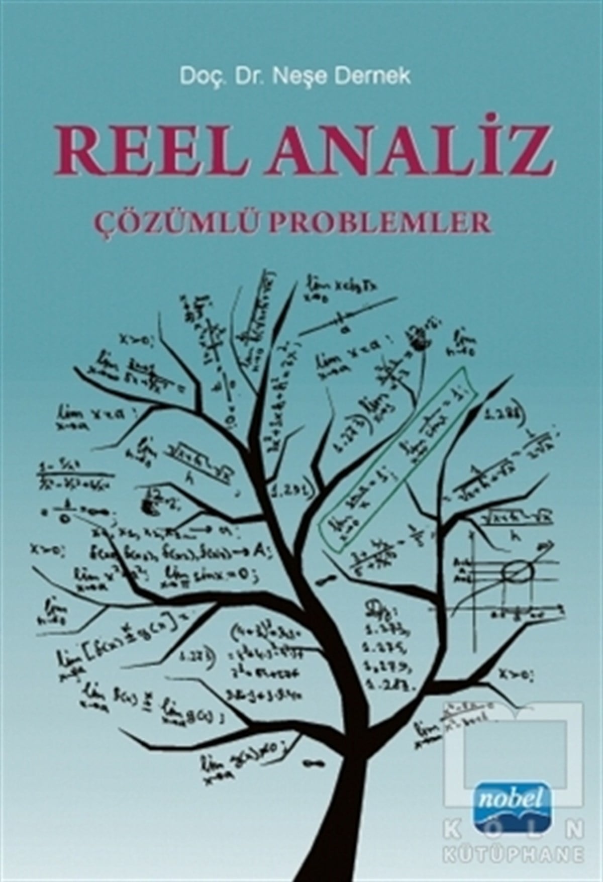 Neşe DernekAkademikReel Analiz