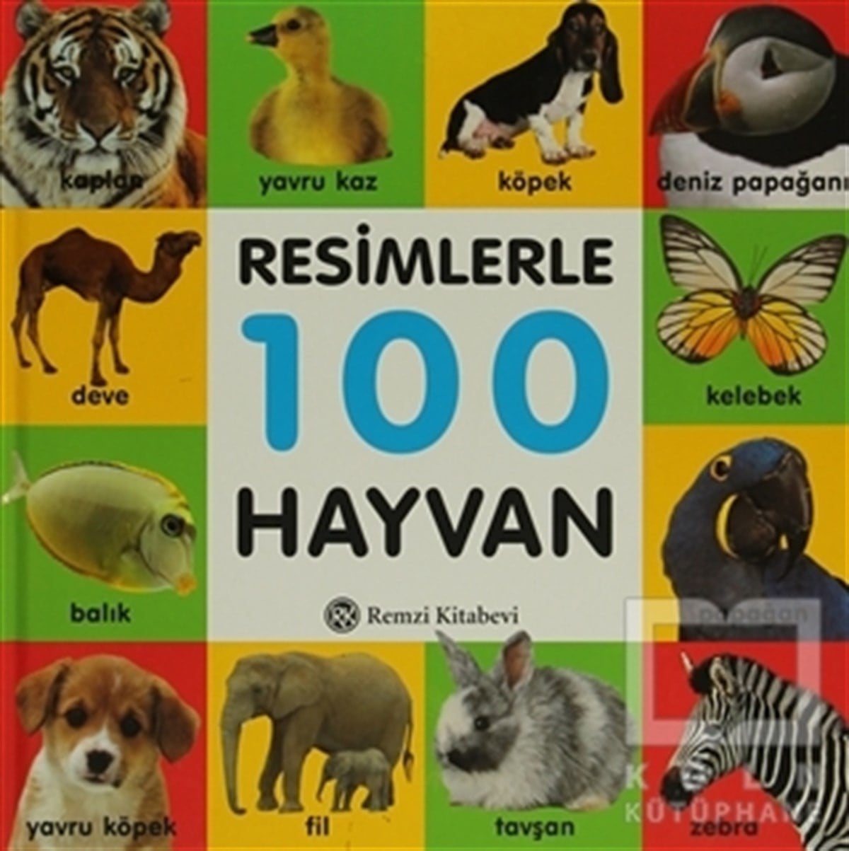 KolektifOkul Öncesi Resimli KitaplarResimlerle 100 Hayvan