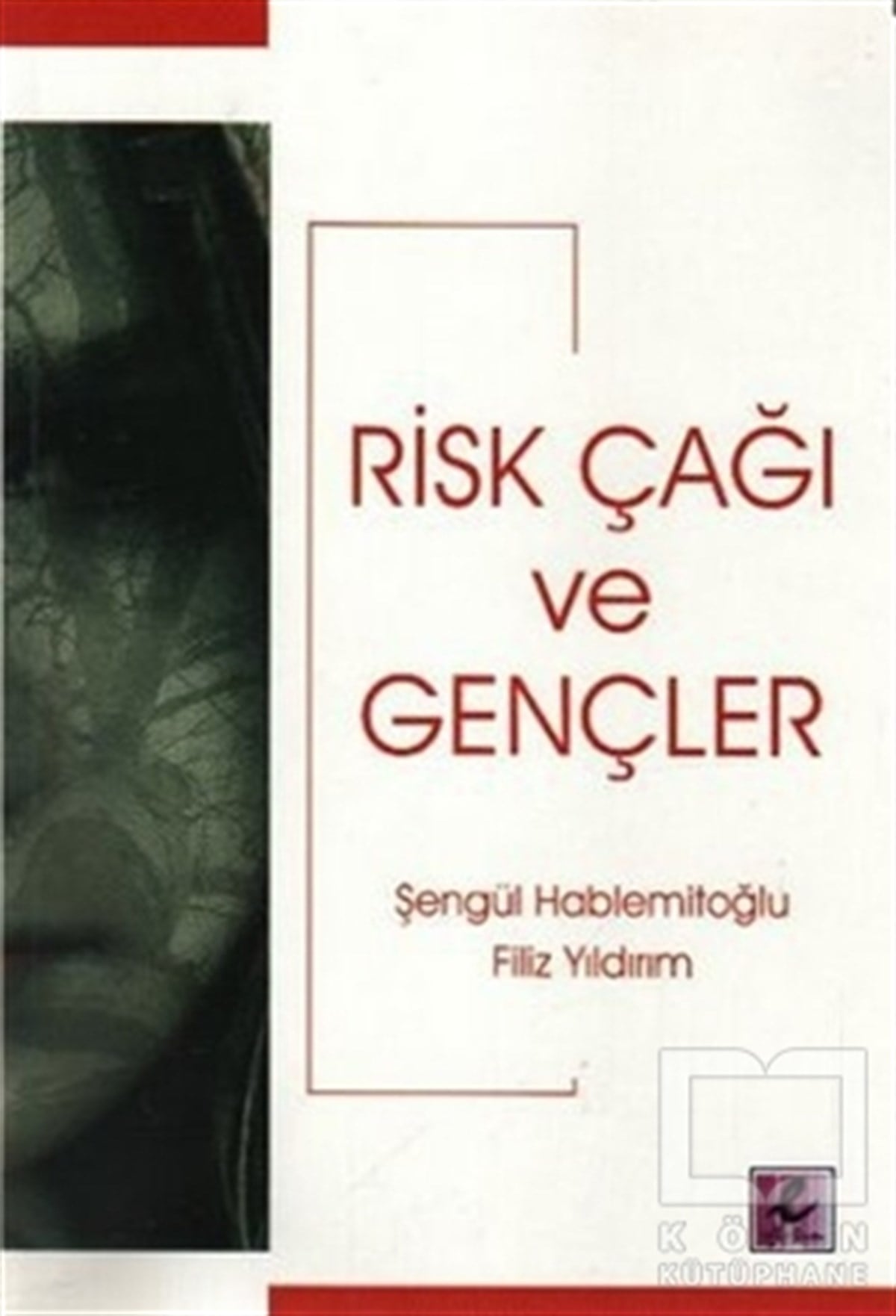 Şengül HablemitoğluDiğerRisk Çağı ve Gençler