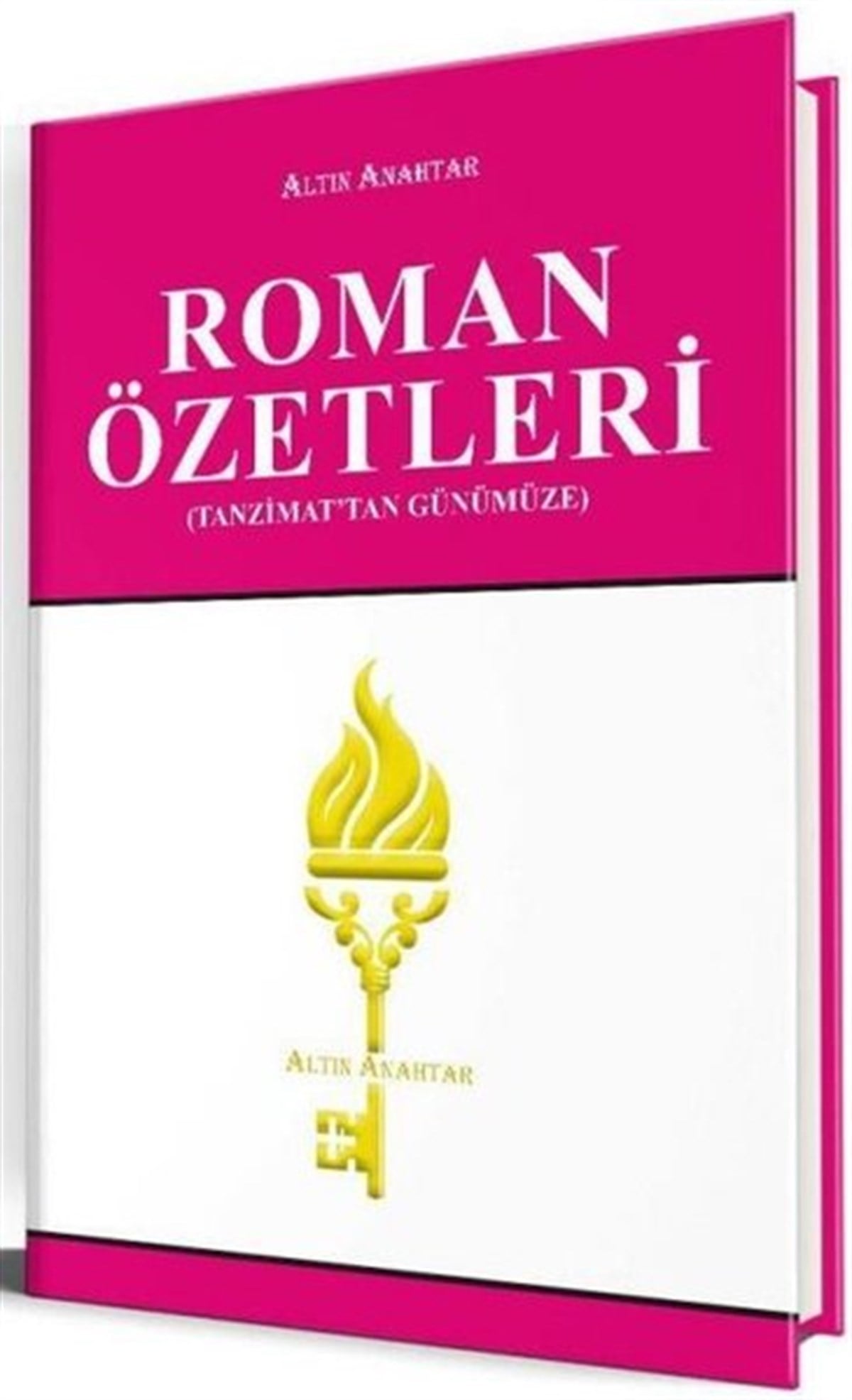 KolektifEğitimRoman Özetleri