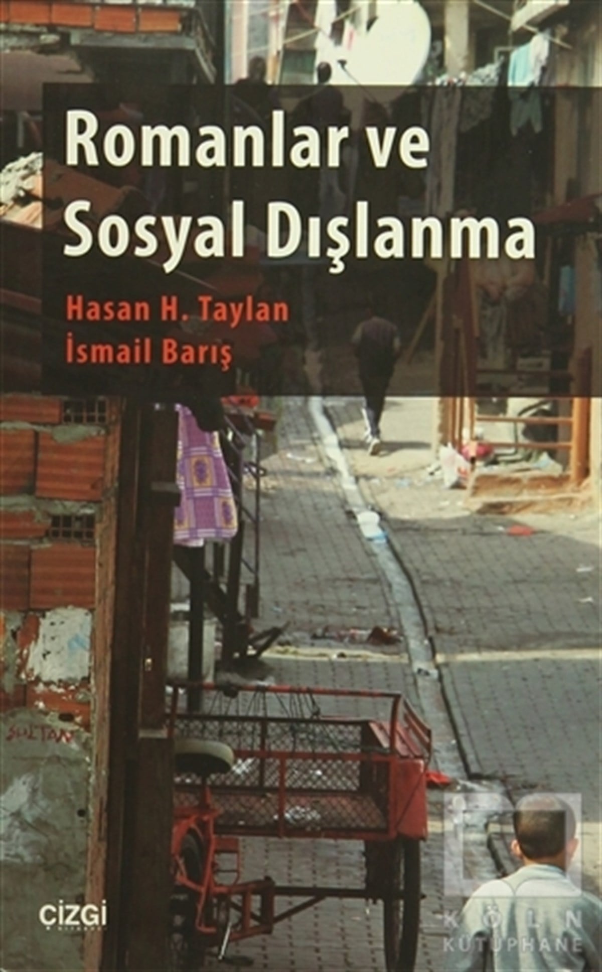 Hasan H. TaylanDiğerRomanlar ve Sosyal Dışlanma