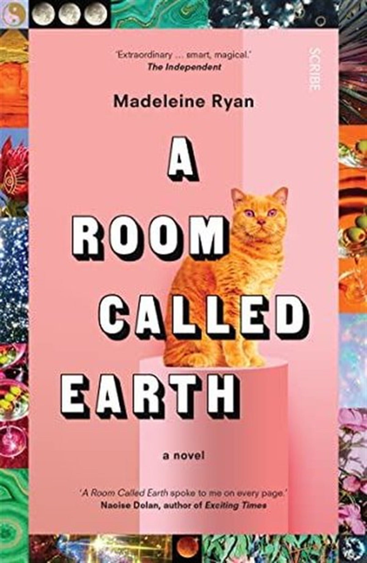 Madeleine RyanLiteratureRoom Called Earth
