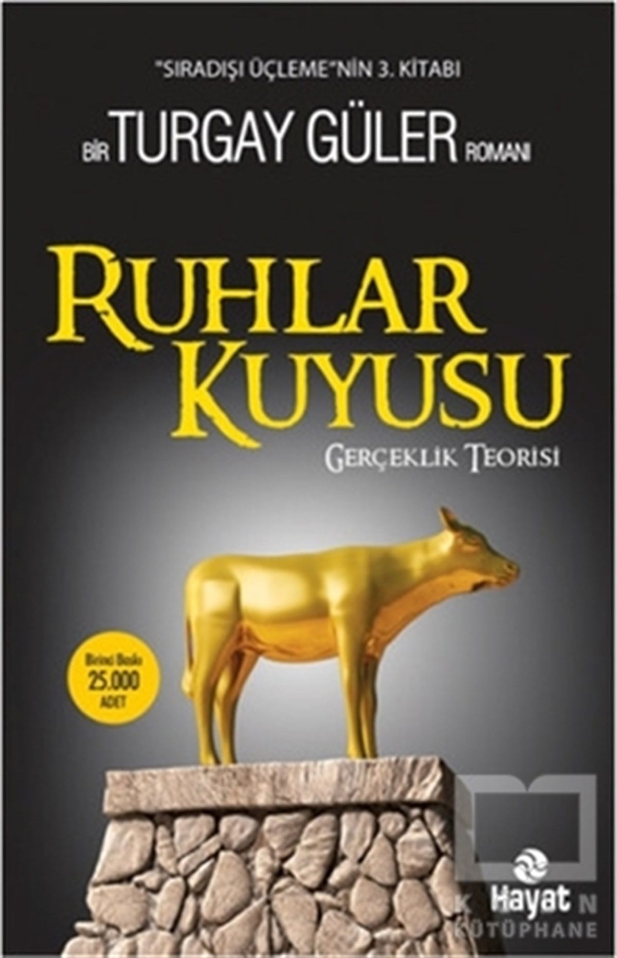 Turgay GülerTürk EdebiyatıRuhlar Kuyusu