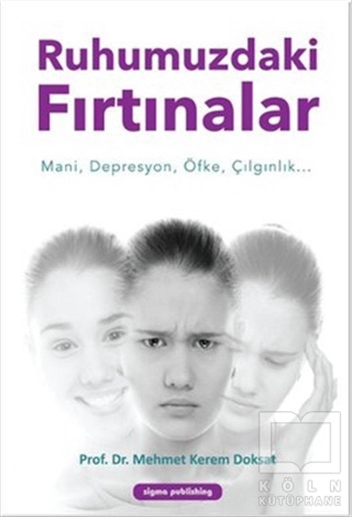 Mehmet Kerem DoksatDiğerRuhumuzdaki Fırtınalar