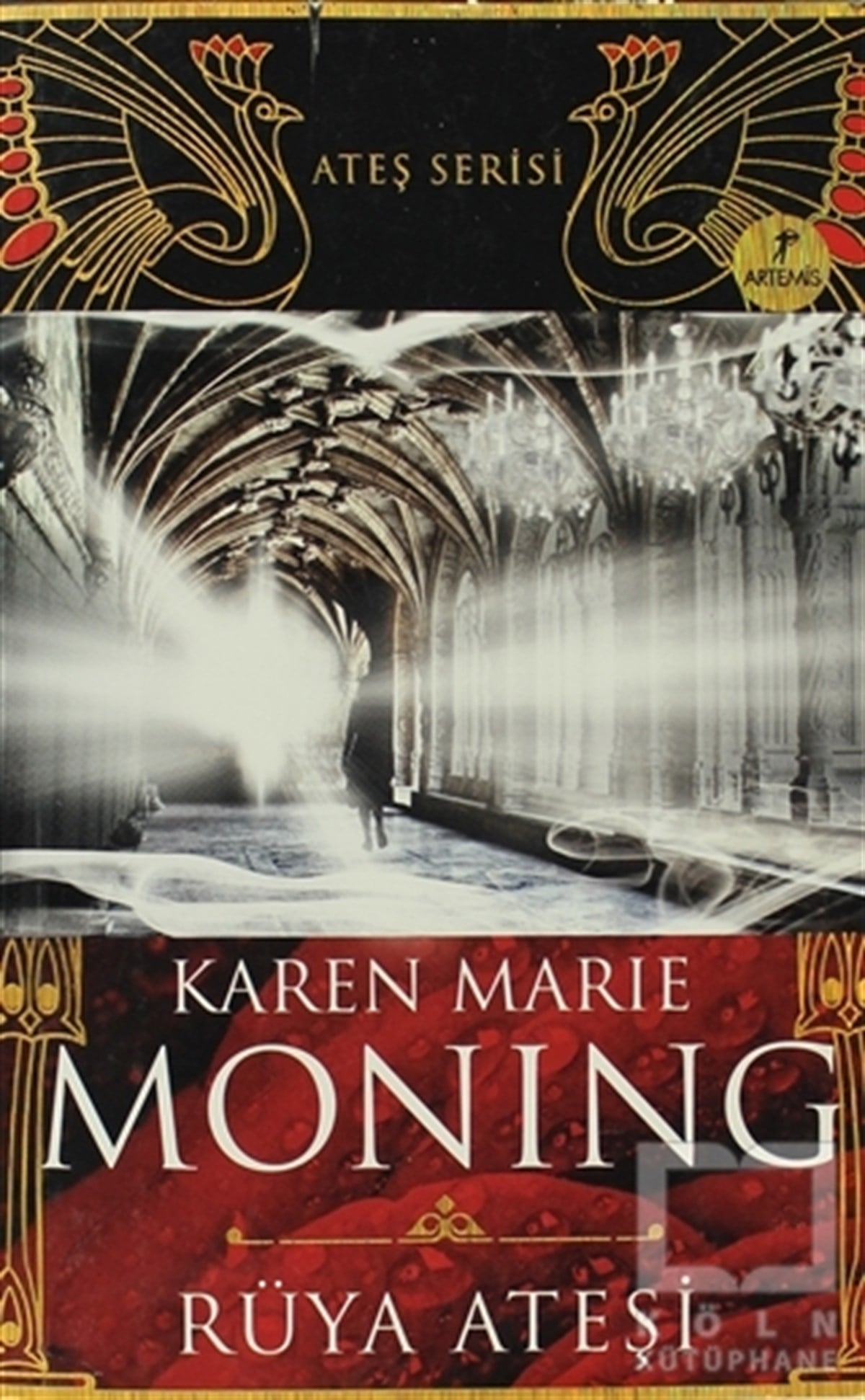 Karen Marie MoningFantastikRüya Ateşi