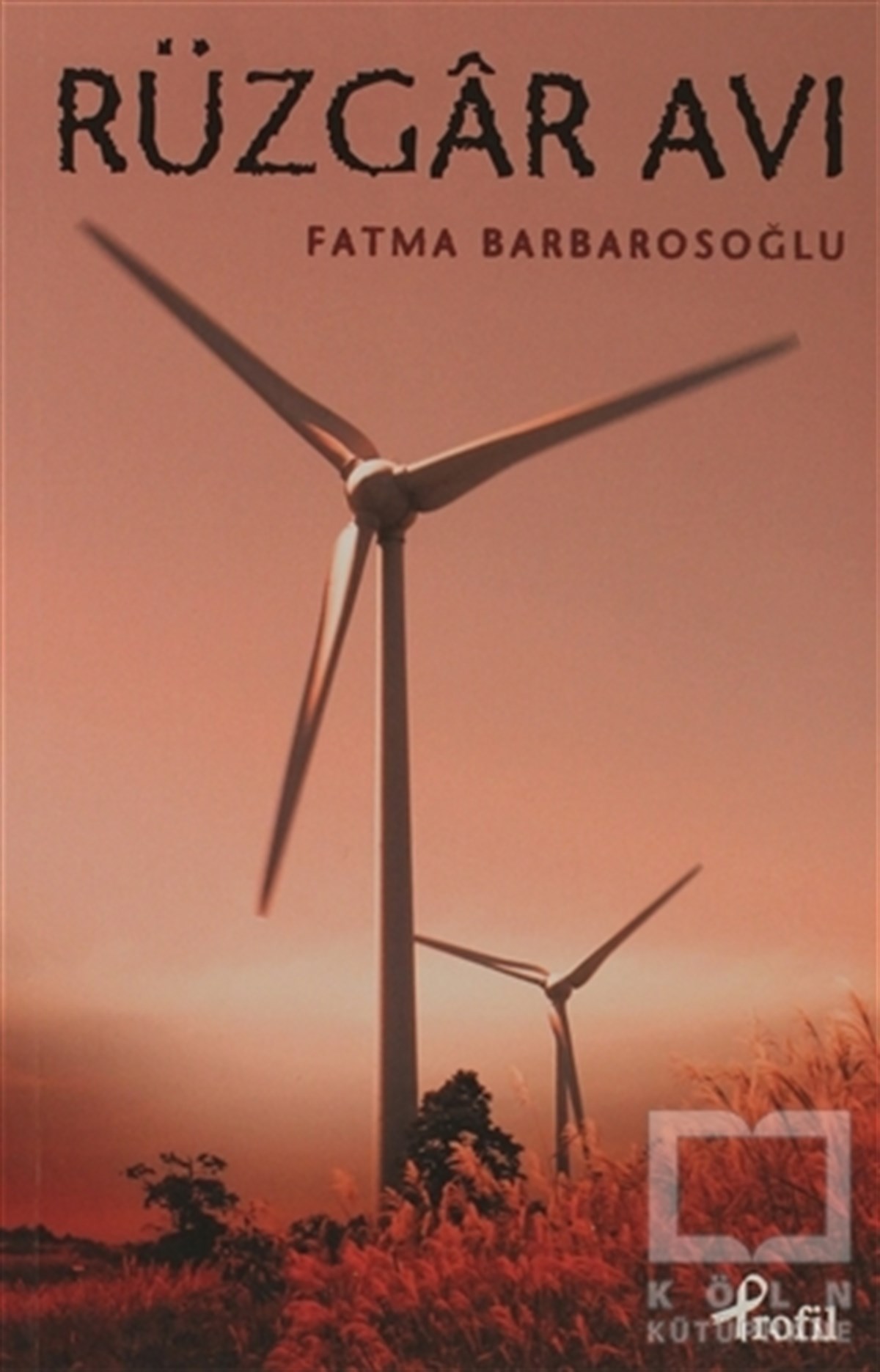 Fatma BarbarosoğluÖyküRüzgar Avı