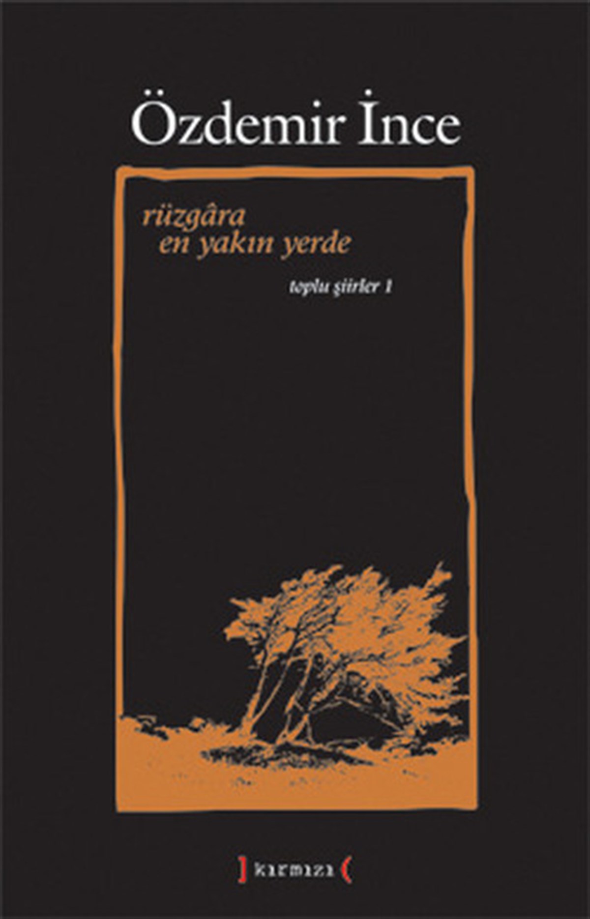 Özdemir İnceTürk ŞiiriRüzgara En Yakın Yerde