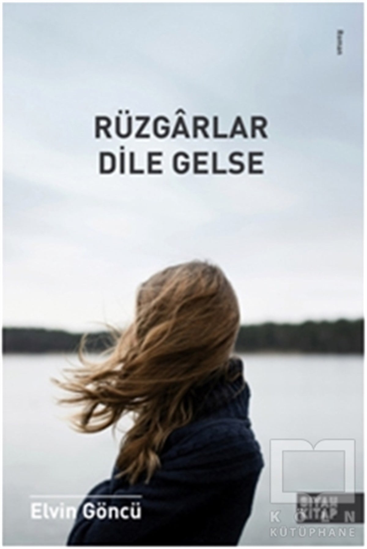 Elvin GöncüRomanRüzgarlar Dile Gelse