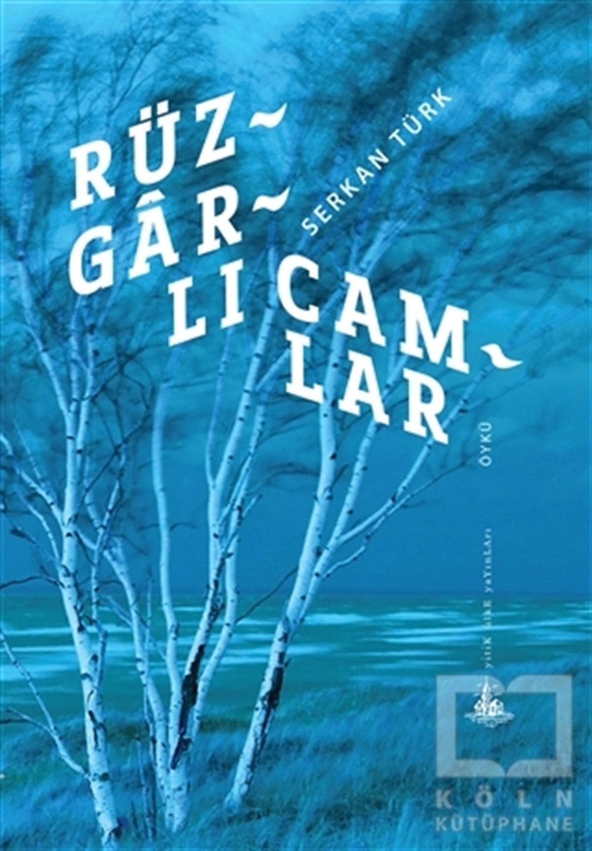 Serkan TürkÖyküRüzgarlı Camlar