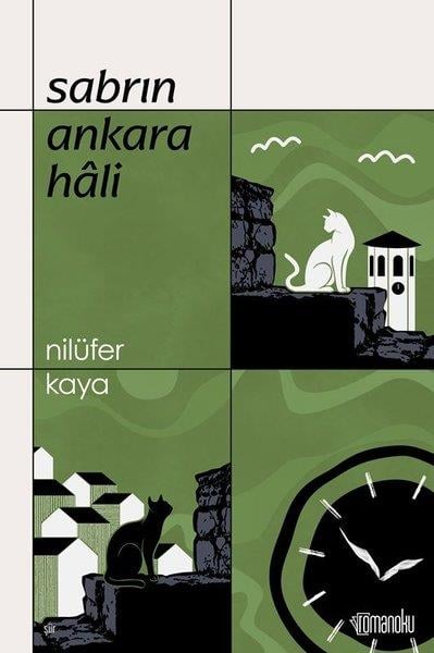 Nilüfer KayaTürk ŞiiriSabrın Ankara Hali