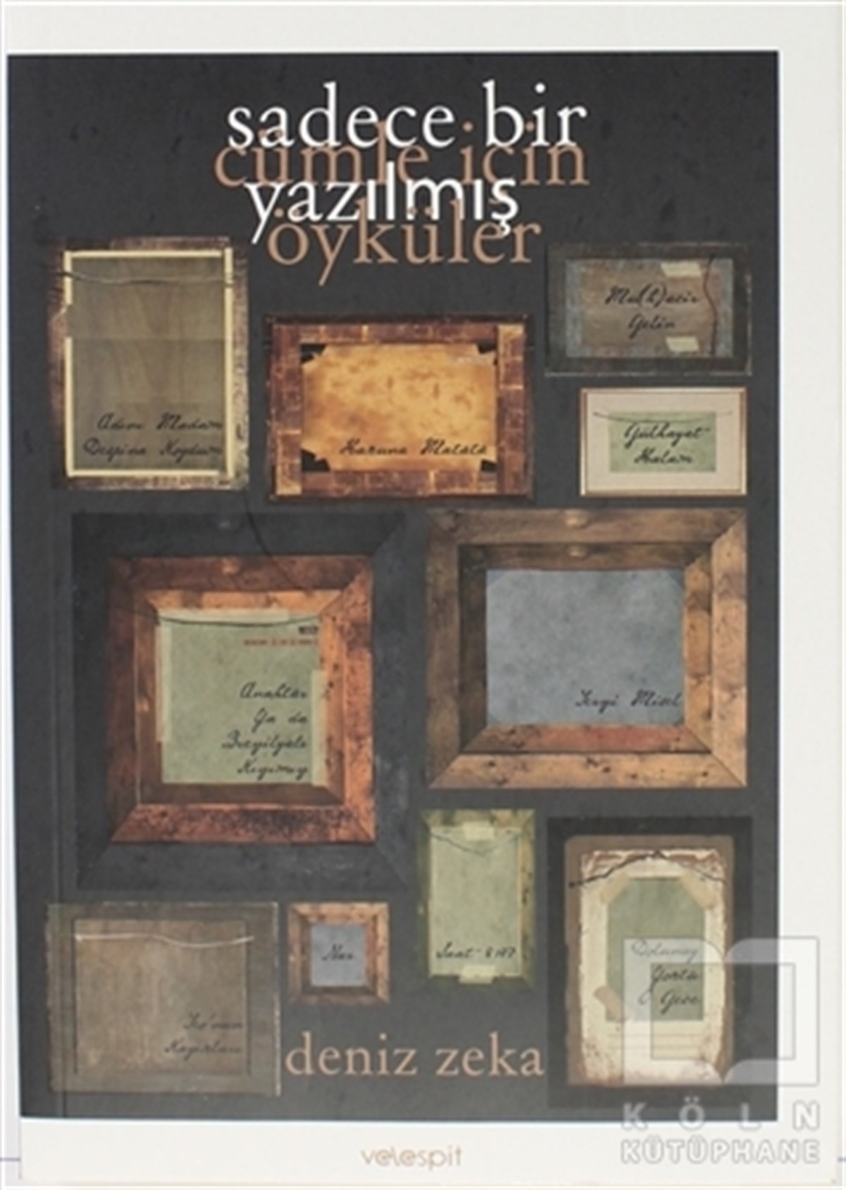 Deniz ZekaHikaye (Öykü) KitaplarıSadece Bir Cümle İçin Yazılmış Öyküler