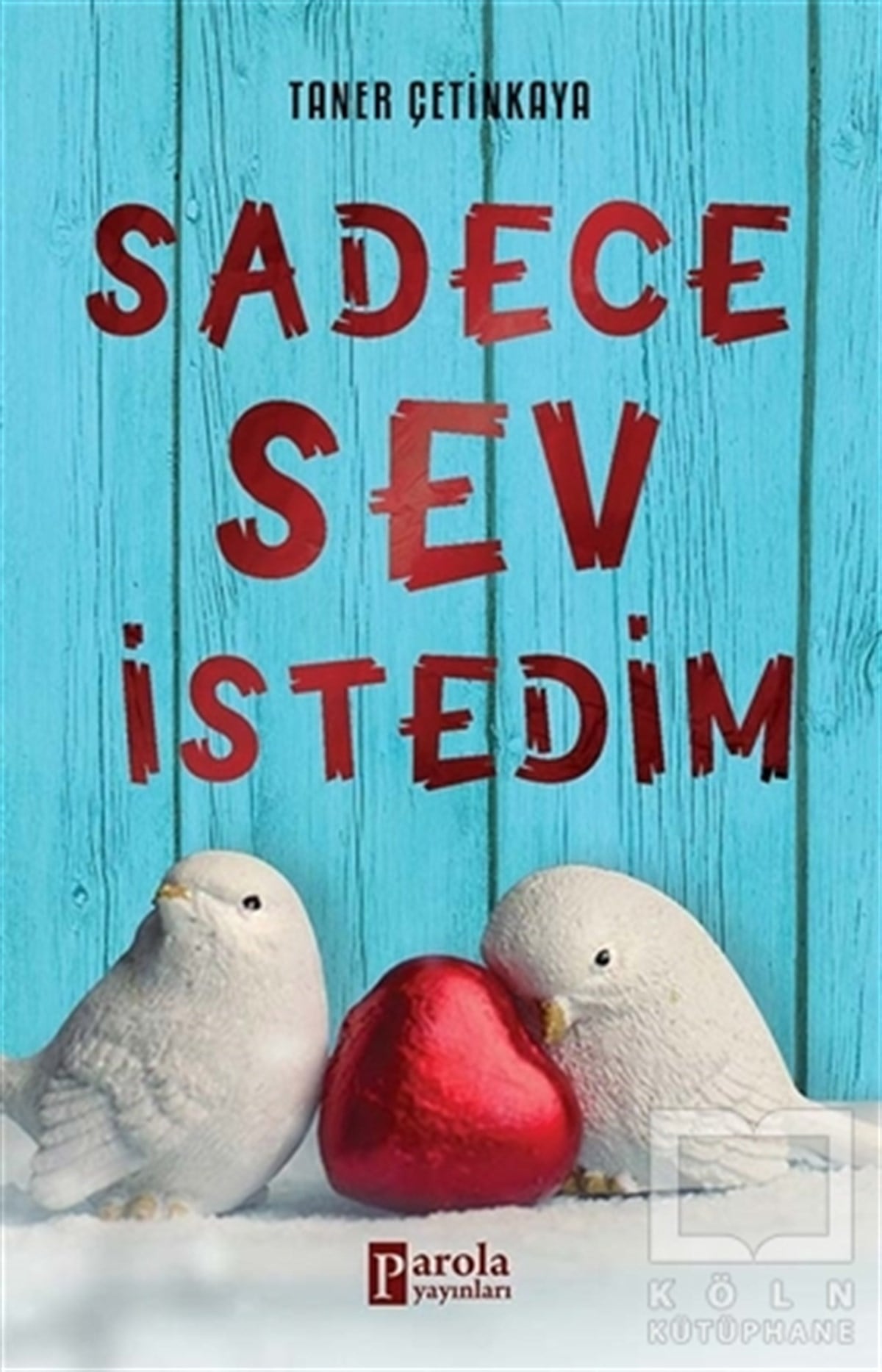 Taner ÇetinkayaDenemeSadece Sev İstedim