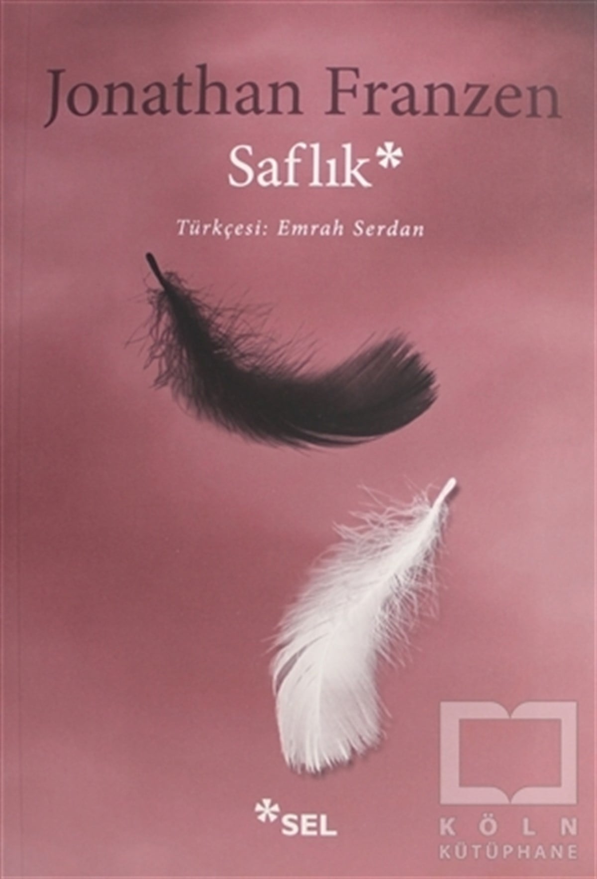 Jonathan FranzenRomanSaflık
