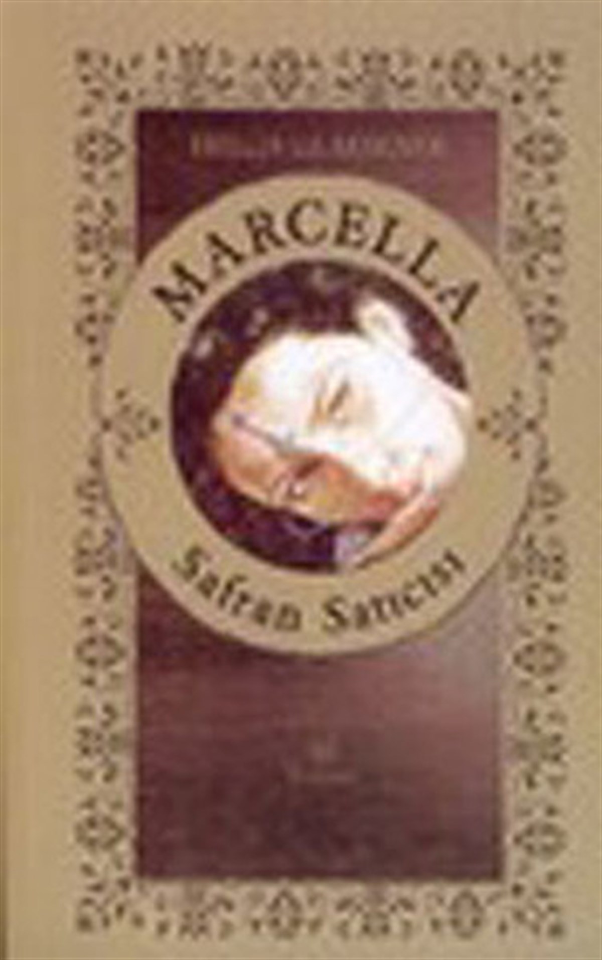 Helga GlaesenerDünya RomanSafran Satıcısı