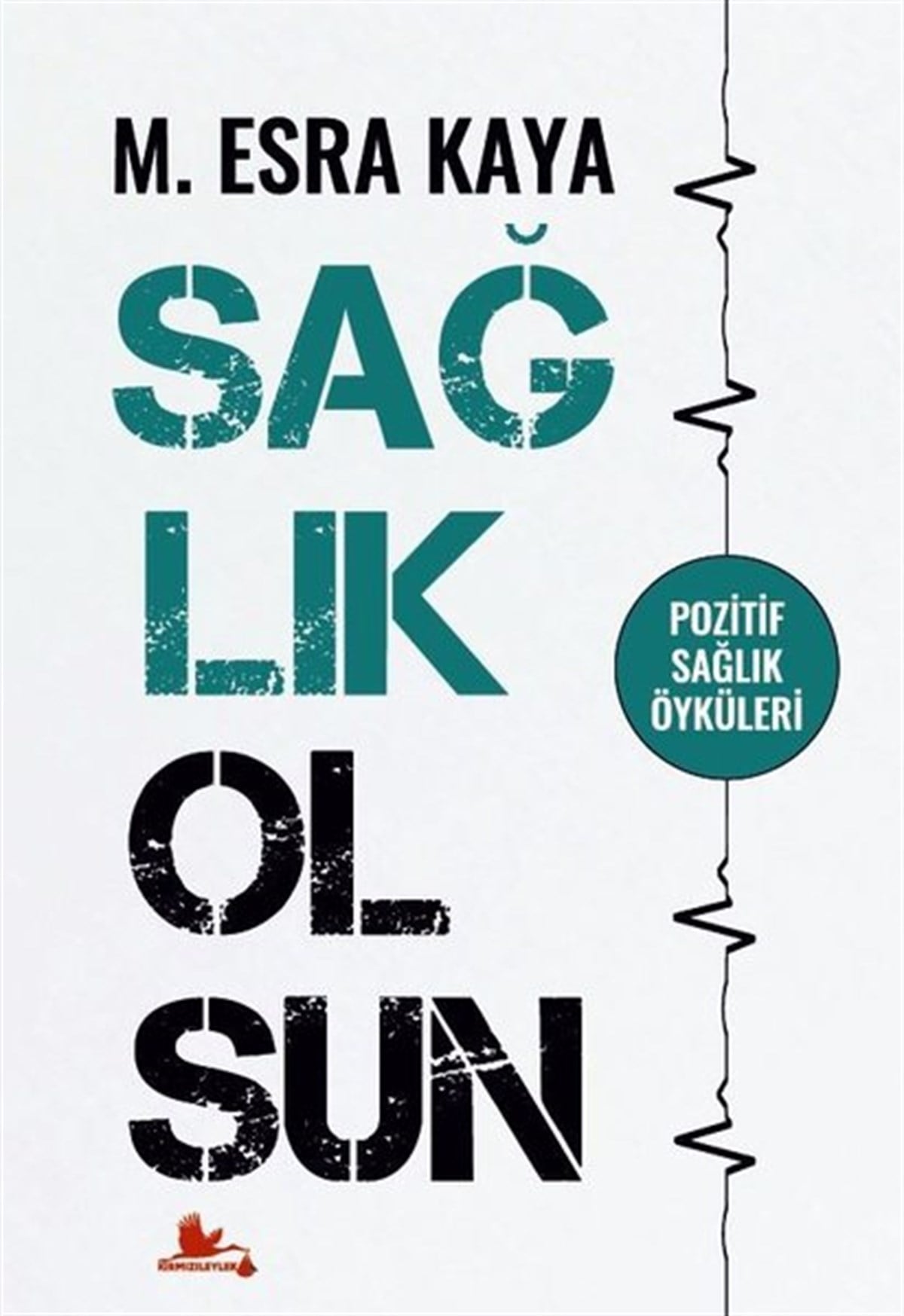 M. Esra KayaTürkiye RomanSağlık Olsun