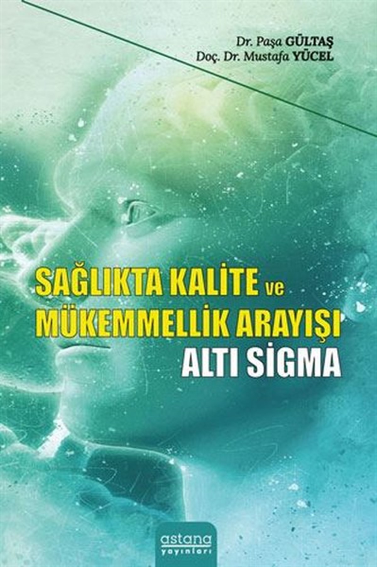 Mustafa YücelİşletmeSağlıkta Kalite ve Mükemmellik Arayışı - Altı Sigma