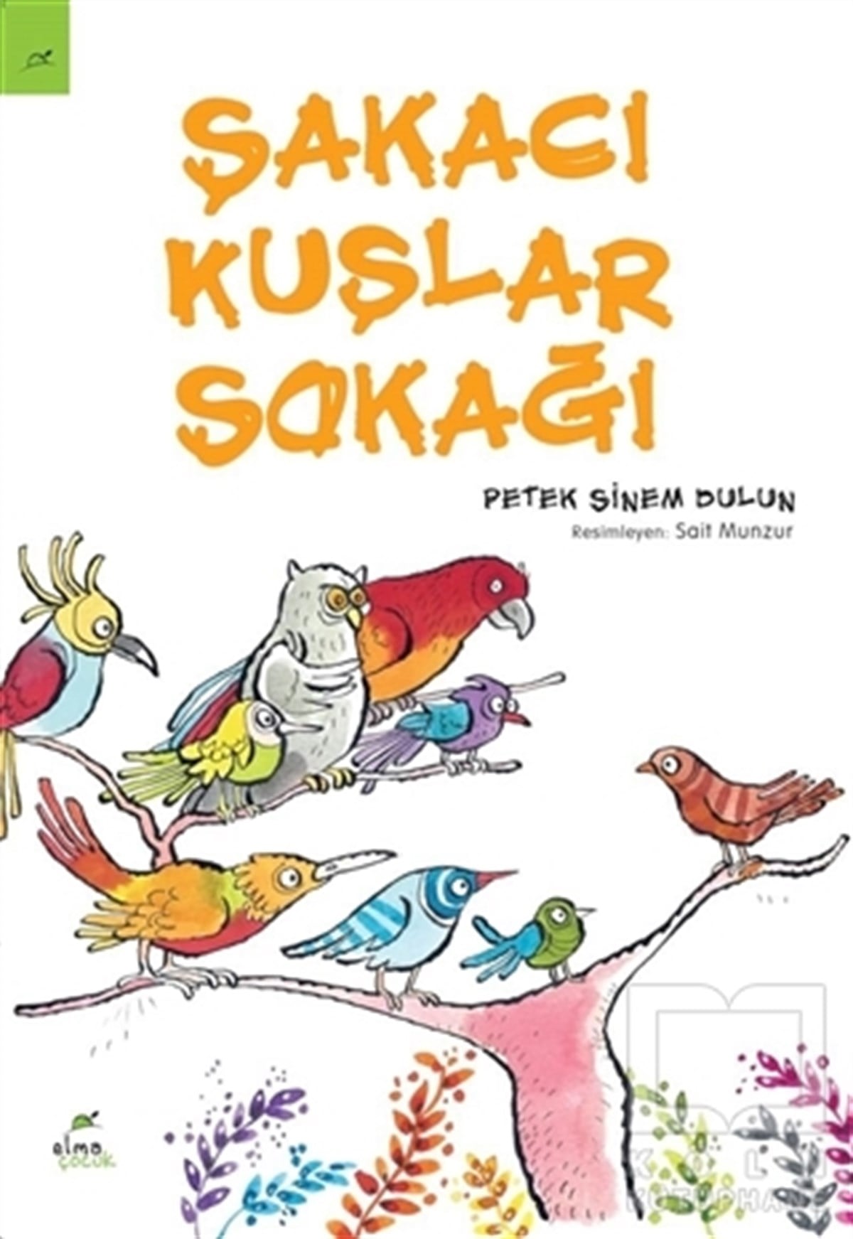 Petek Sinem DulunHikayelerŞakacı Kuşlar Sokağı