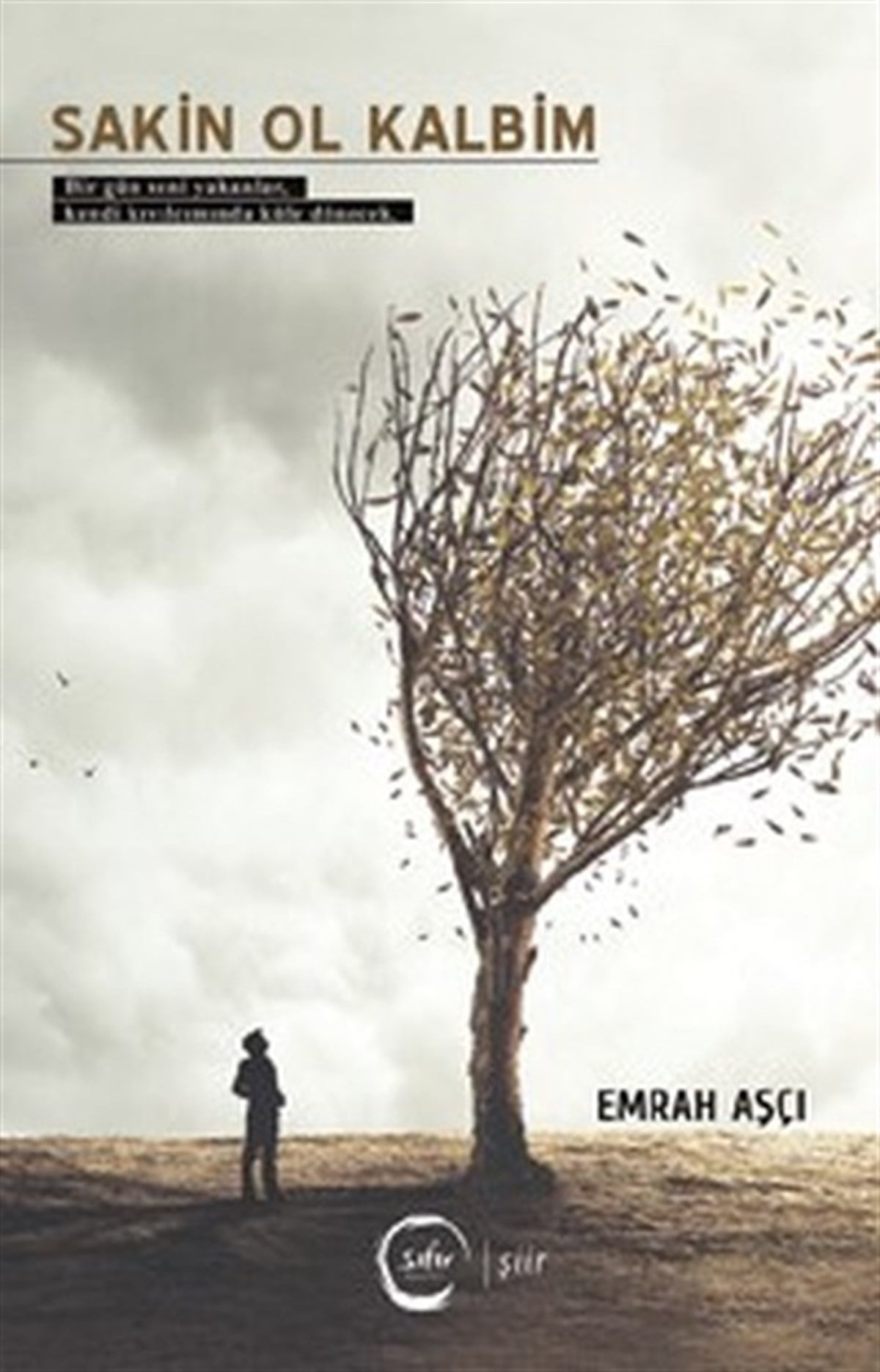 Emrah AşçıTürk ŞiiriSakin Ol Kalbim
