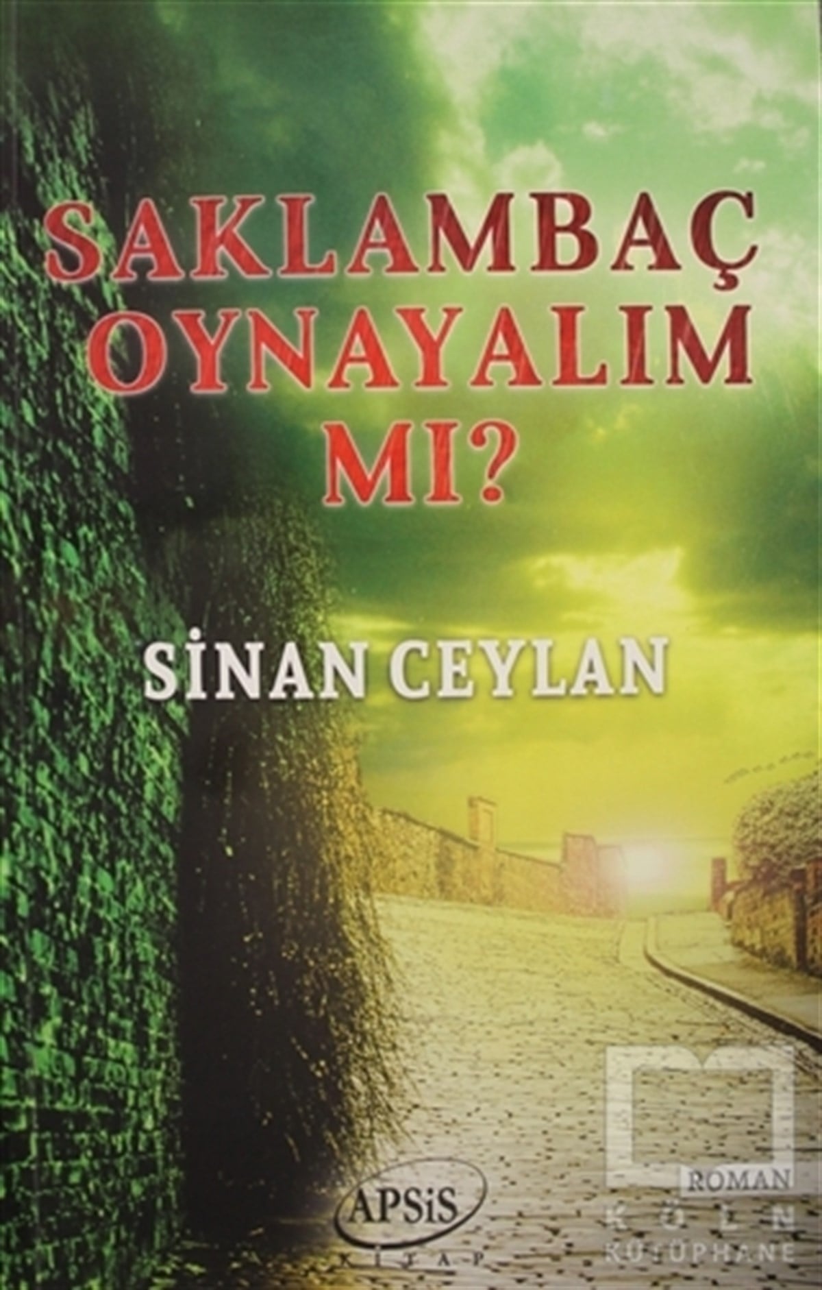 Sinan CeylanRomanSaklambaç Oynayalım Mı?