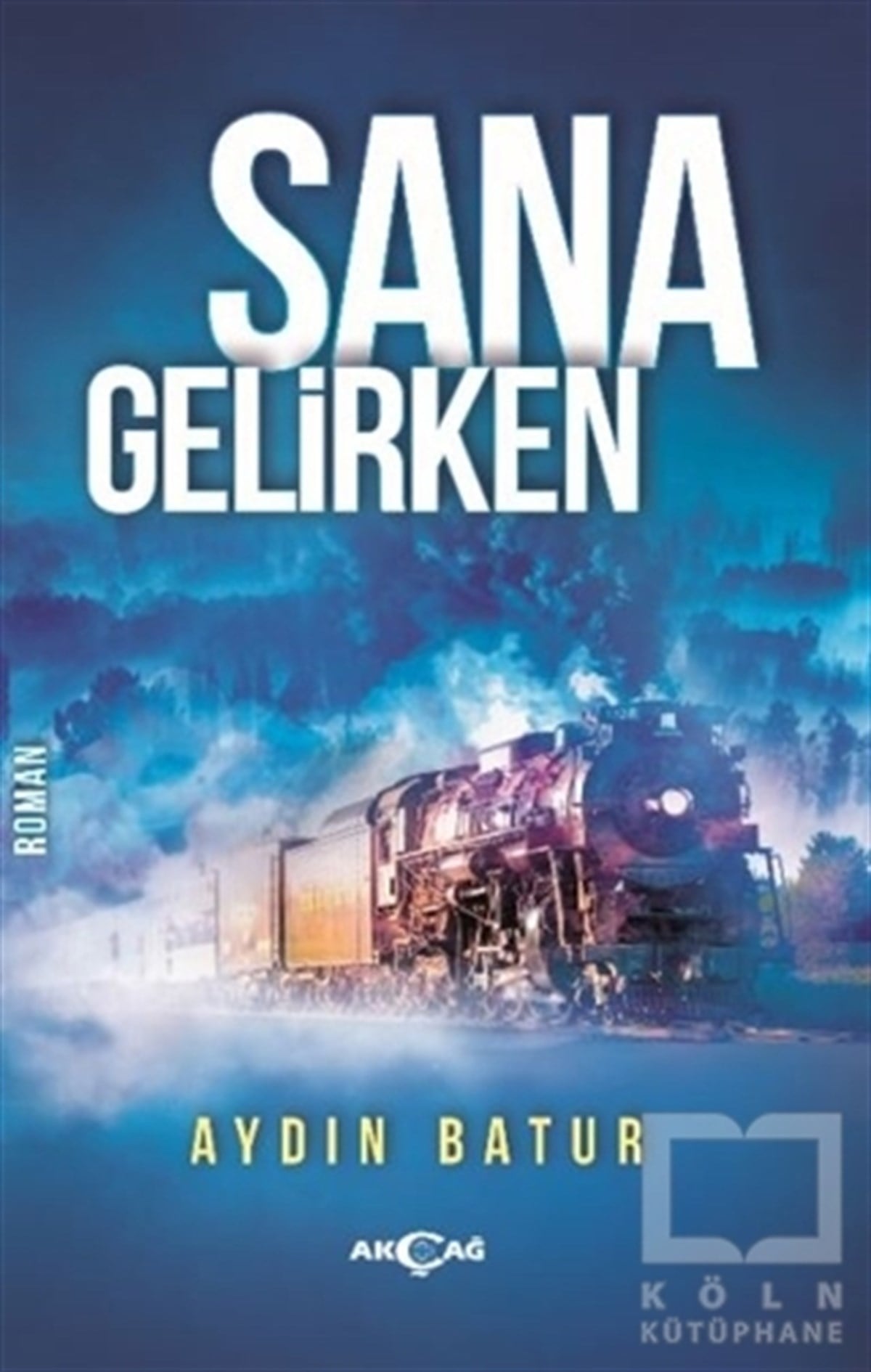 Aydın BaturTürkçe RomanlarSana Gelirken